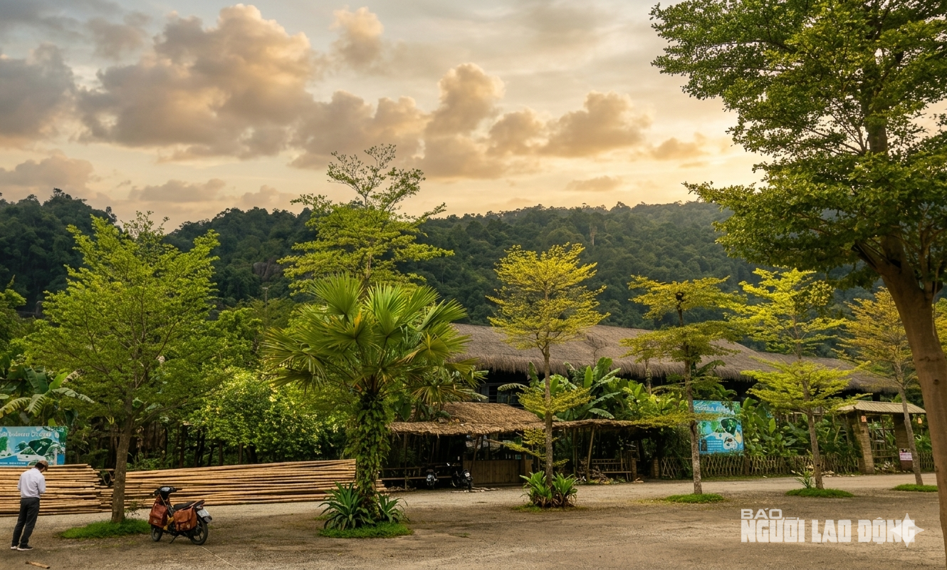 Doanh nghiệp Phù Sa Đỏ cầu cứu vì bị gây rối tại Khu du lịch Phong Nha - Kẻ Bàng - Ảnh 1. Doanh nghiệp Phù Sa Đỏ cầu cứu vì bị gây rối tại Khu du lịch Phong Nha - Kẻ Bàng - Ảnh 1.