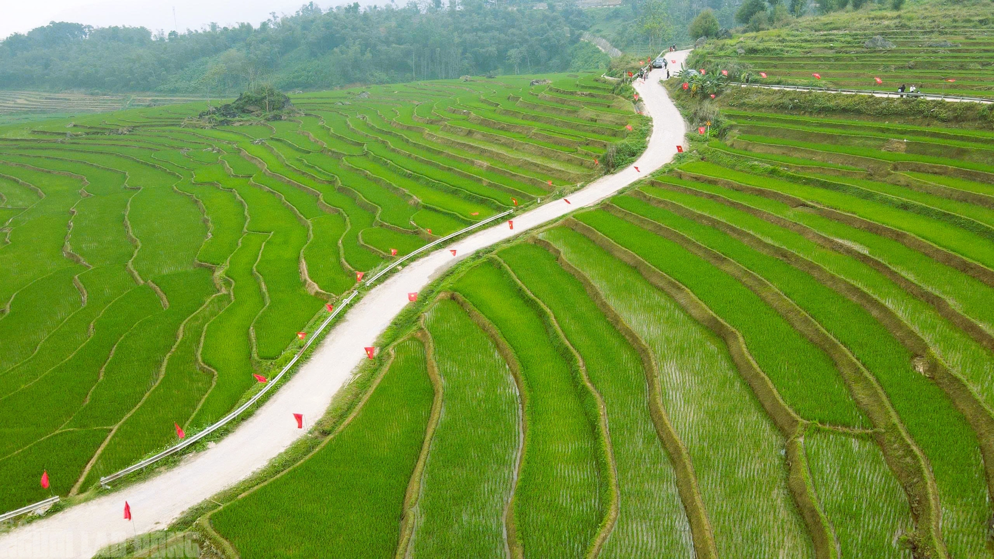 Điểm du lịch nổi tiếng ở Thanh H&oacute;a rực rỡ cờ Tổ quốc trước ng&agrave;y bầu cử - Ảnh 2.