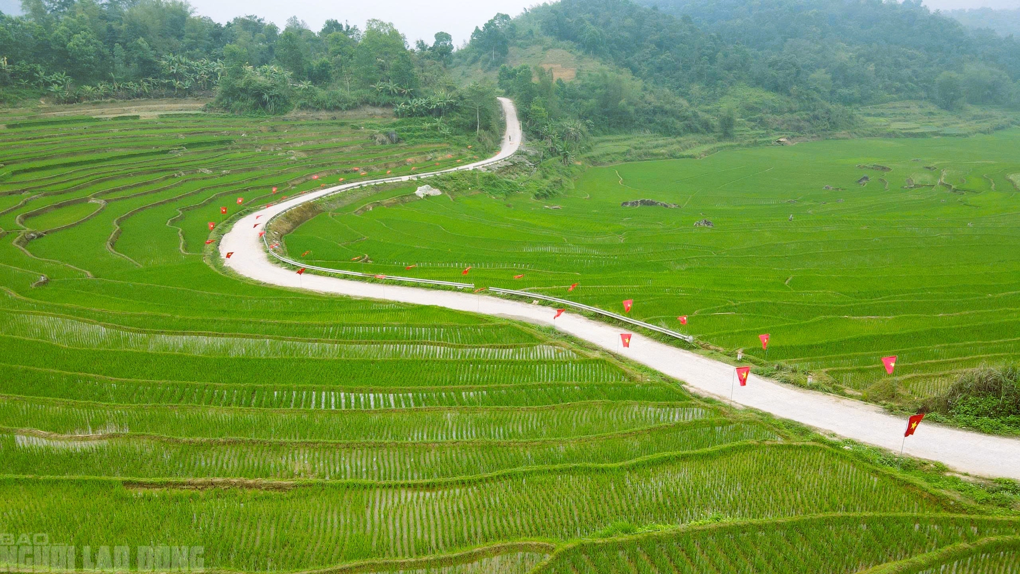 Điểm du lịch nổi tiếng ở Thanh H&oacute;a rực rỡ cờ Tổ quốc trước ng&agrave;y bầu cử - Ảnh 12.