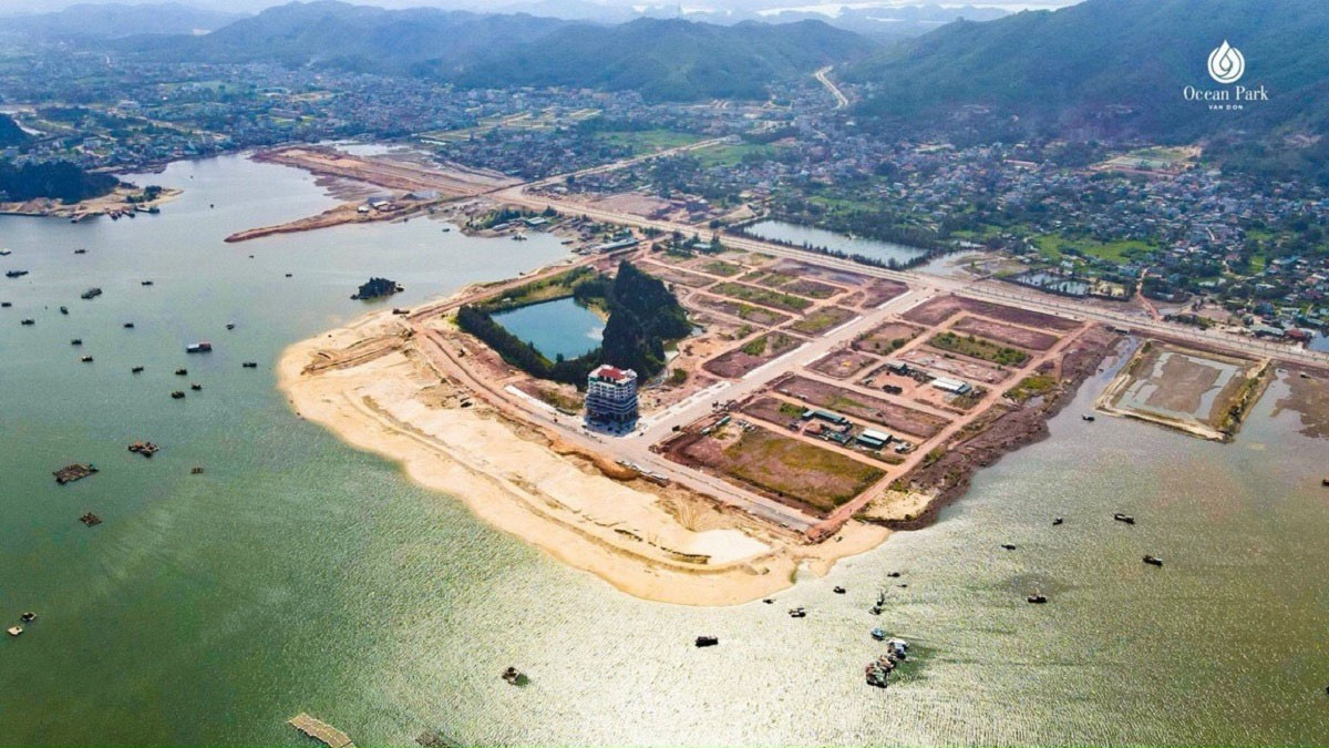  Nợ thuế và phá sản 2026 - Ảnh 2.