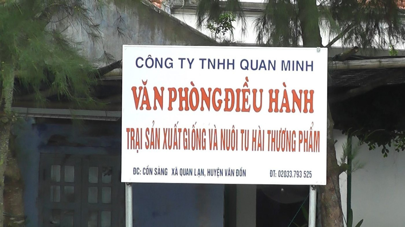  Nợ thuế và phá sản 2026 - Ảnh 3.