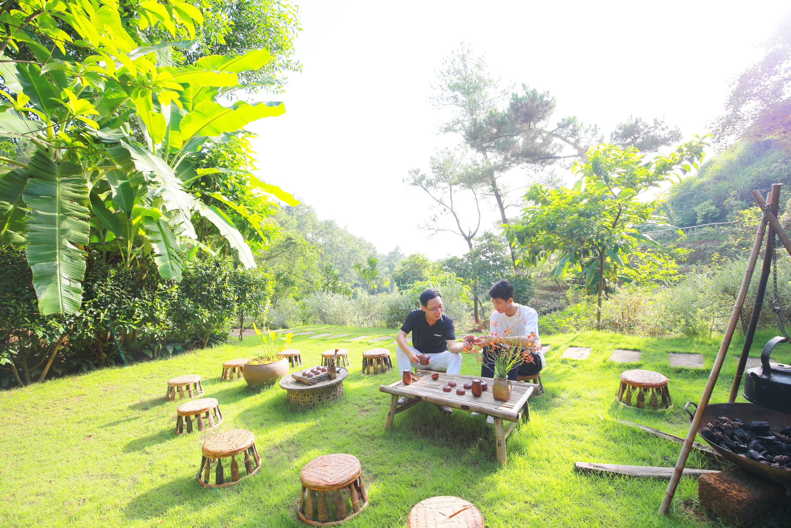 Một ấm tr&agrave;, trọn kiếp người - Ảnh 1.