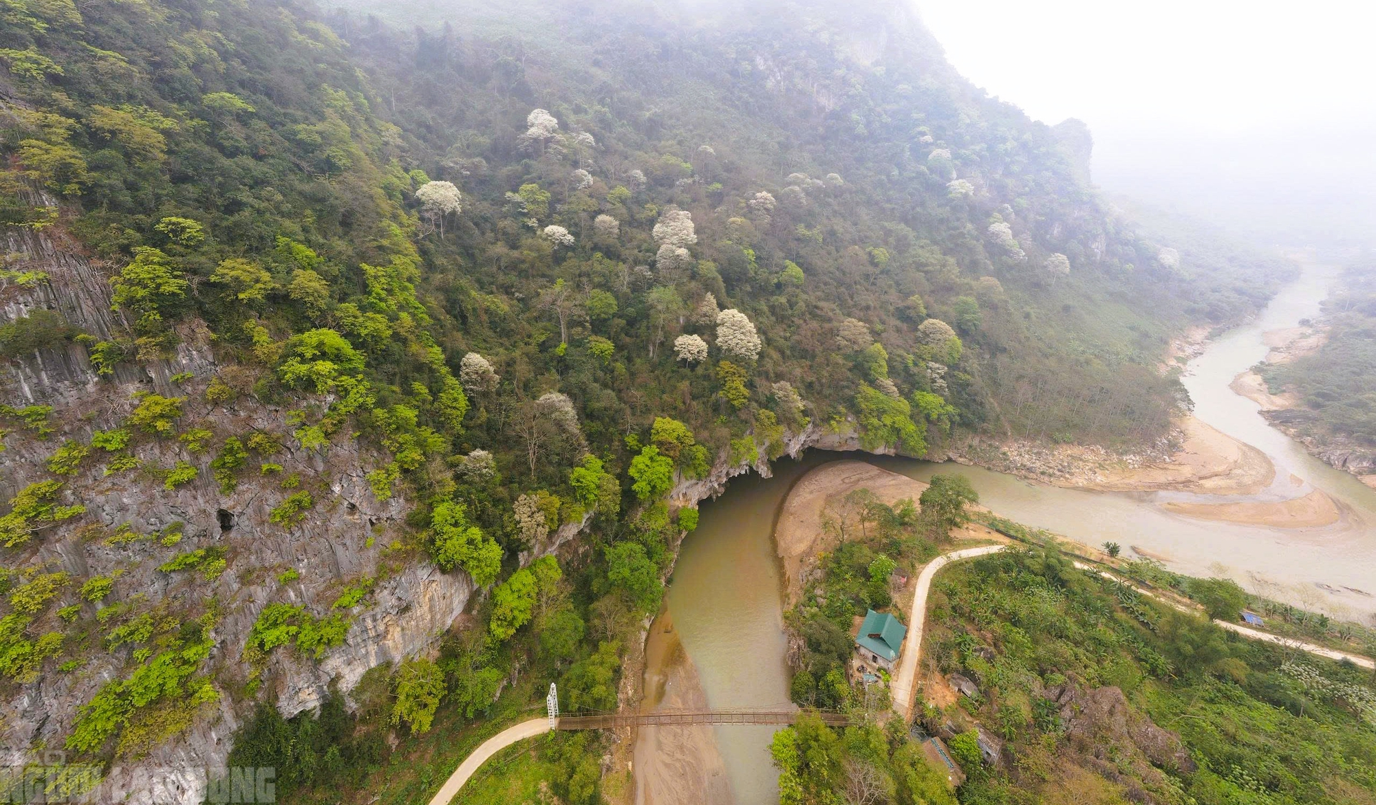 Ng&acirc;y ngất với lo&agrave;i hoa nở trắng rừng xứ Thanh - Ảnh 6.