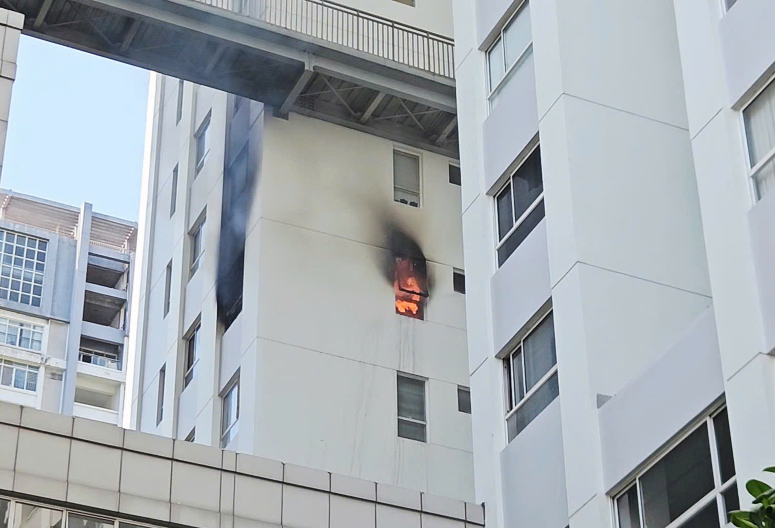 Cháy chung cư TPHCM tại đường Mai Chí Thọ làm cư dân hoảng loạn - Ảnh 2.