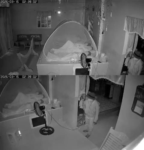 Điều tra vụ thùng tiền mừng cưới biến mất sau đêm tân hôn ở Cà Mau - Ảnh 1.