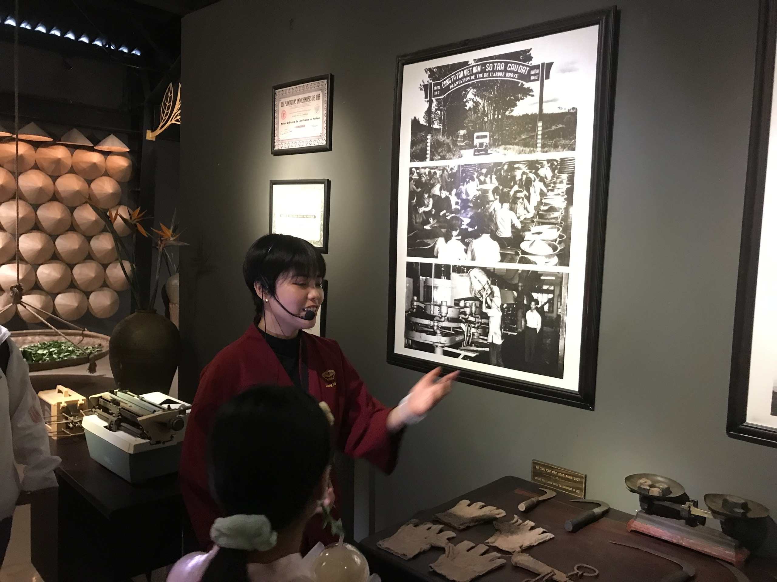 Tham quan Bảo t&agrave;ng tr&agrave; Long Đỉnh ở Đ&agrave; Lạt: Kh&aacute;m ph&aacute; văn h&oacute;a tr&agrave; Việt Nam - Ảnh 1.