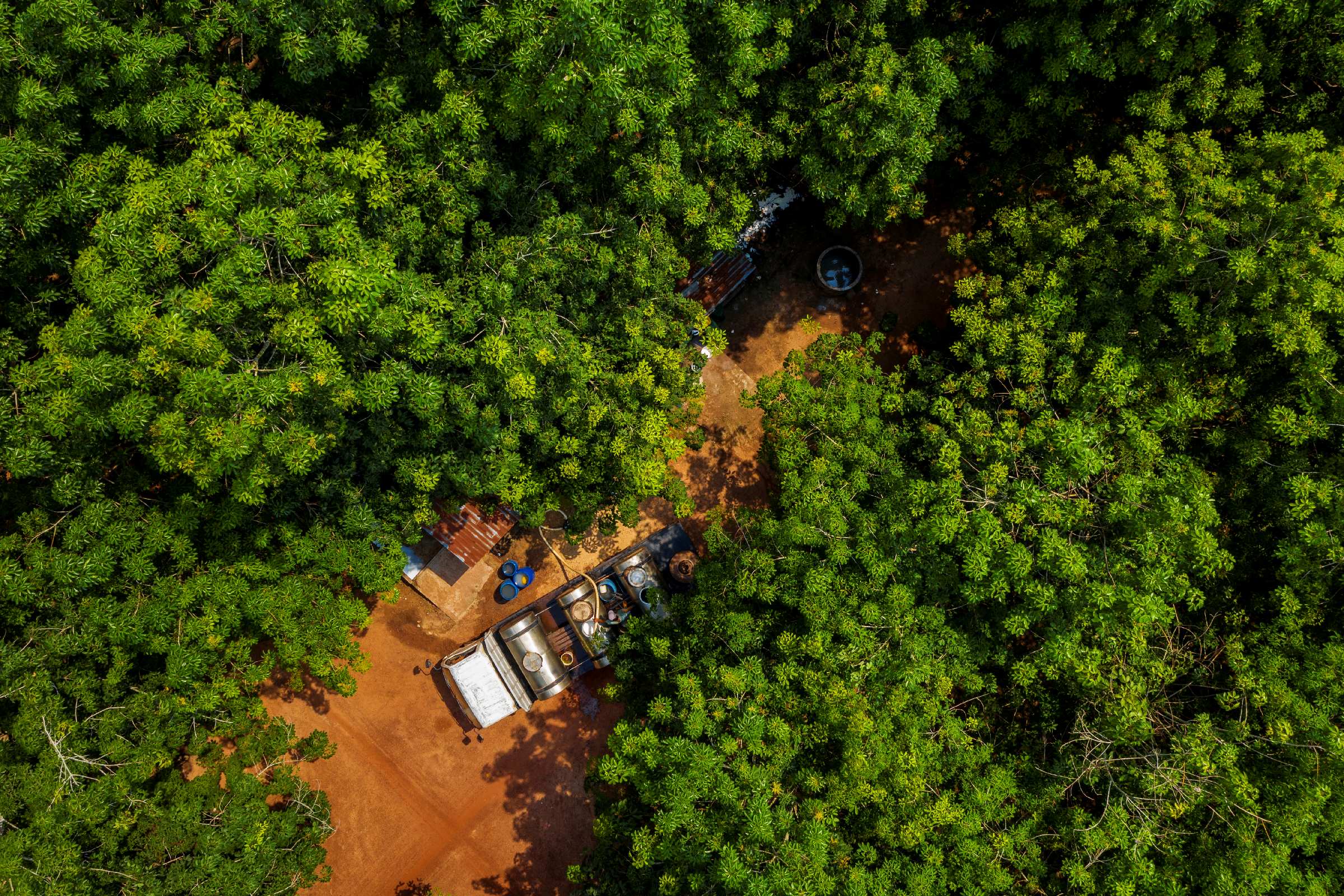 Tinh gọn bộ máy VRG 2026: Đổi mới và nâng cao hiệu quả phát triển kinh tế - Ảnh 2.