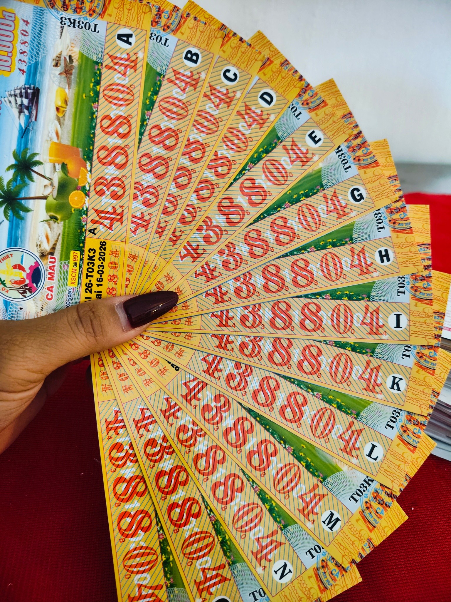 Xổ số miền Nam ngày 16 - 3: Nơi trúng giải độc đắc và an ủi bất ngờ - Ảnh 6. Xổ số miền Nam ngày 16 - 3: Nơi trúng giải độc đắc và an ủi bất ngờ - Ảnh 6.