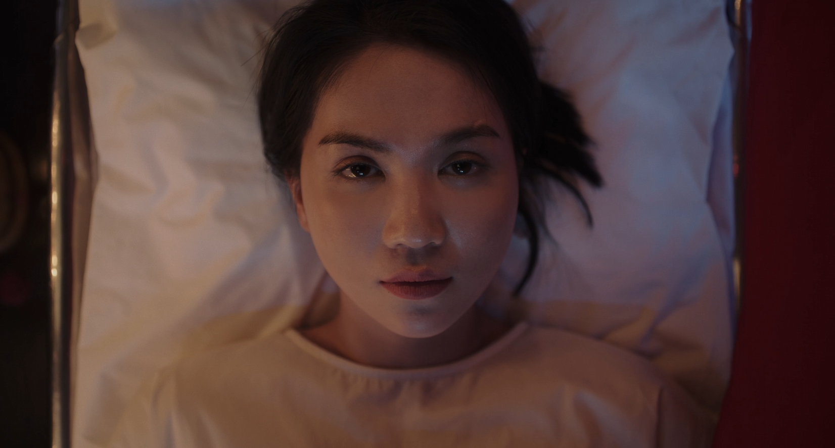 Ngọc Trinh hoảng loạn vì bị 