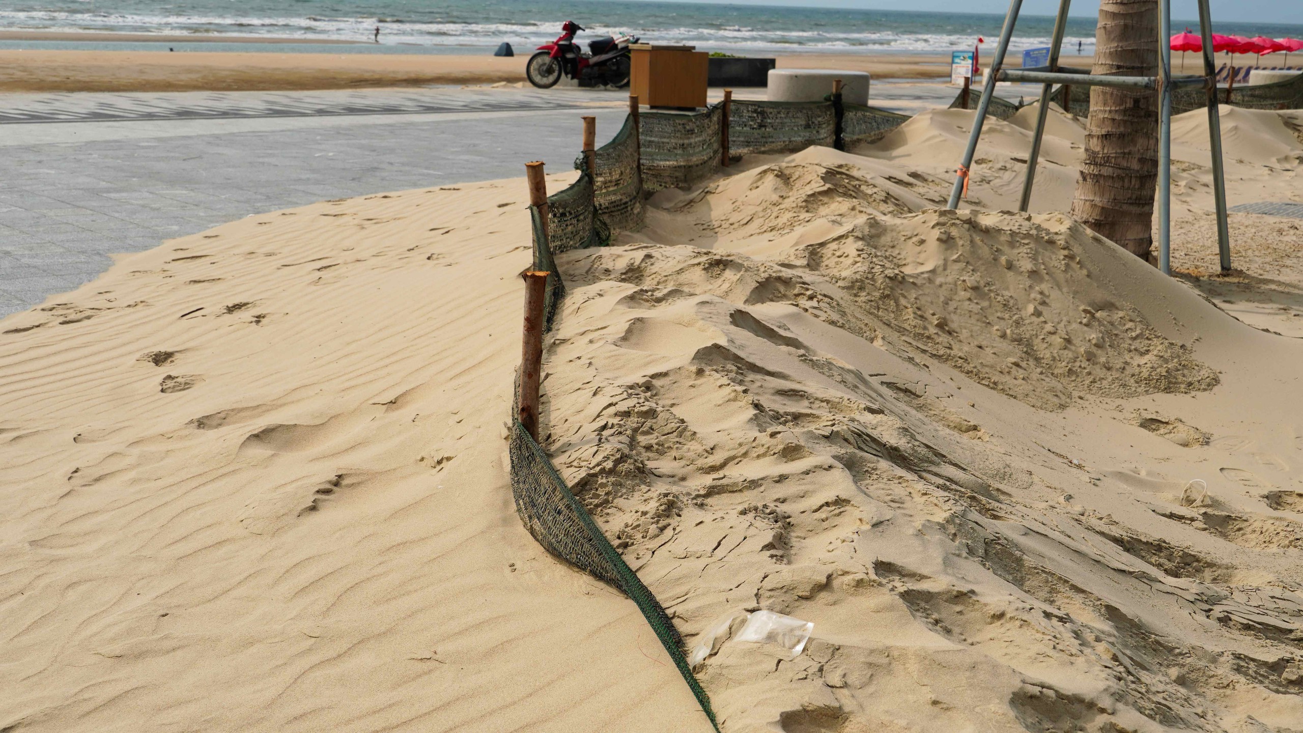 Giải pháp xử lý cát bay tại công viên Bãi sau Vũng Tàu năm 2026 - Ảnh 7.