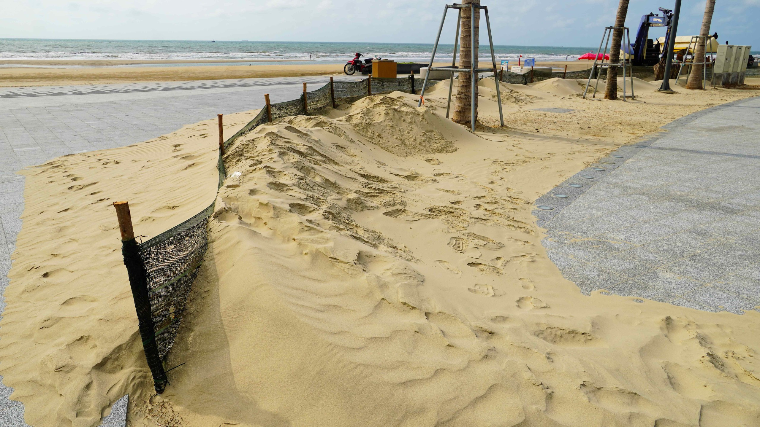 Giải pháp xử lý cát bay tại công viên Bãi sau Vũng Tàu năm 2026 - Ảnh 1.