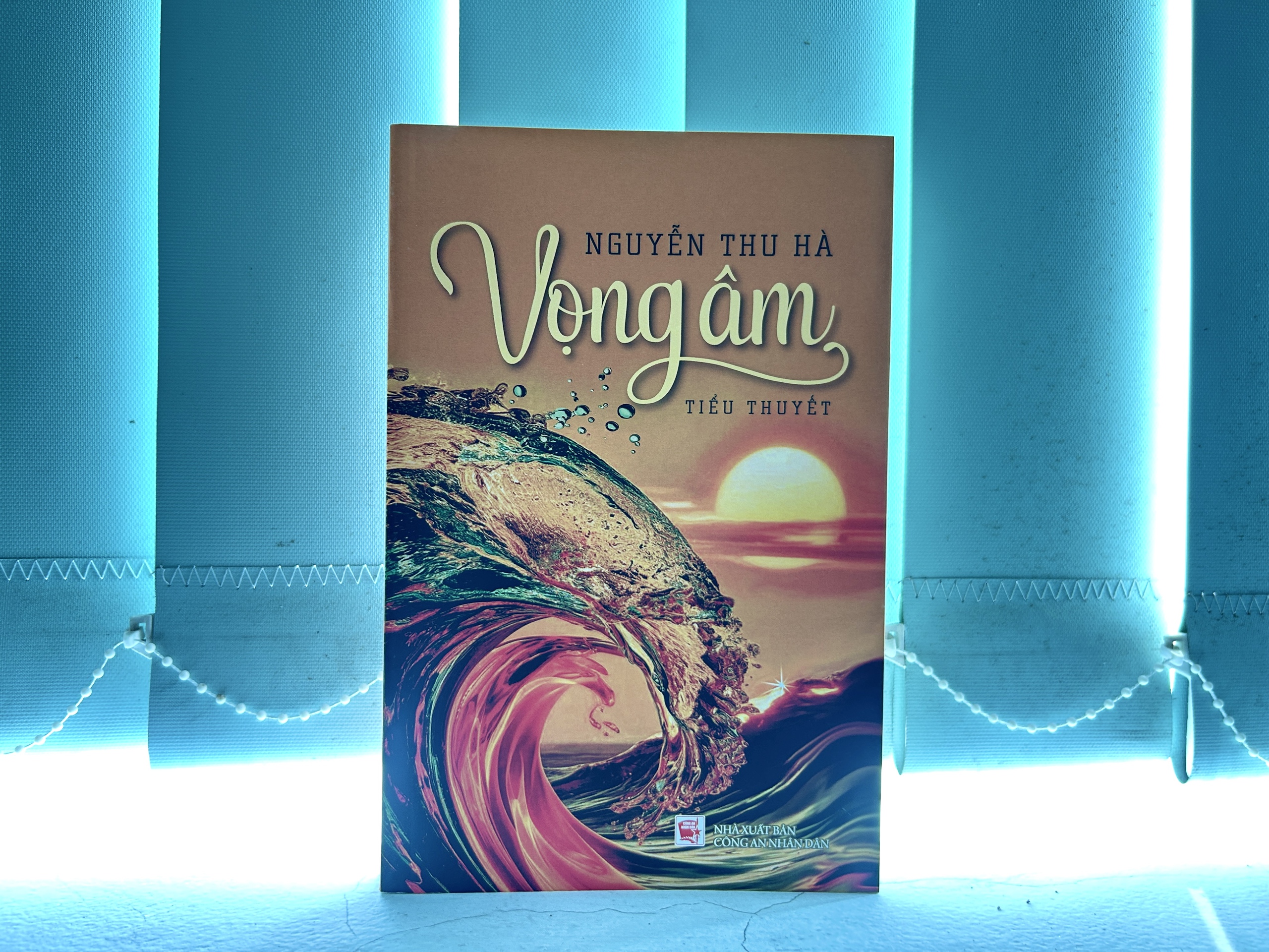 Ra mắt tiểu thuyết 