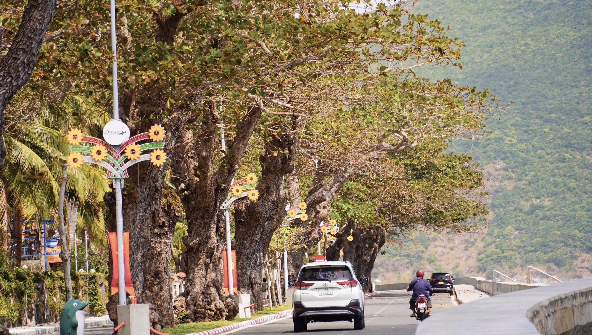 C&ocirc;n Đảo bước v&agrave;o "m&ugrave;a đẹp nhất năm" - Ảnh 7.