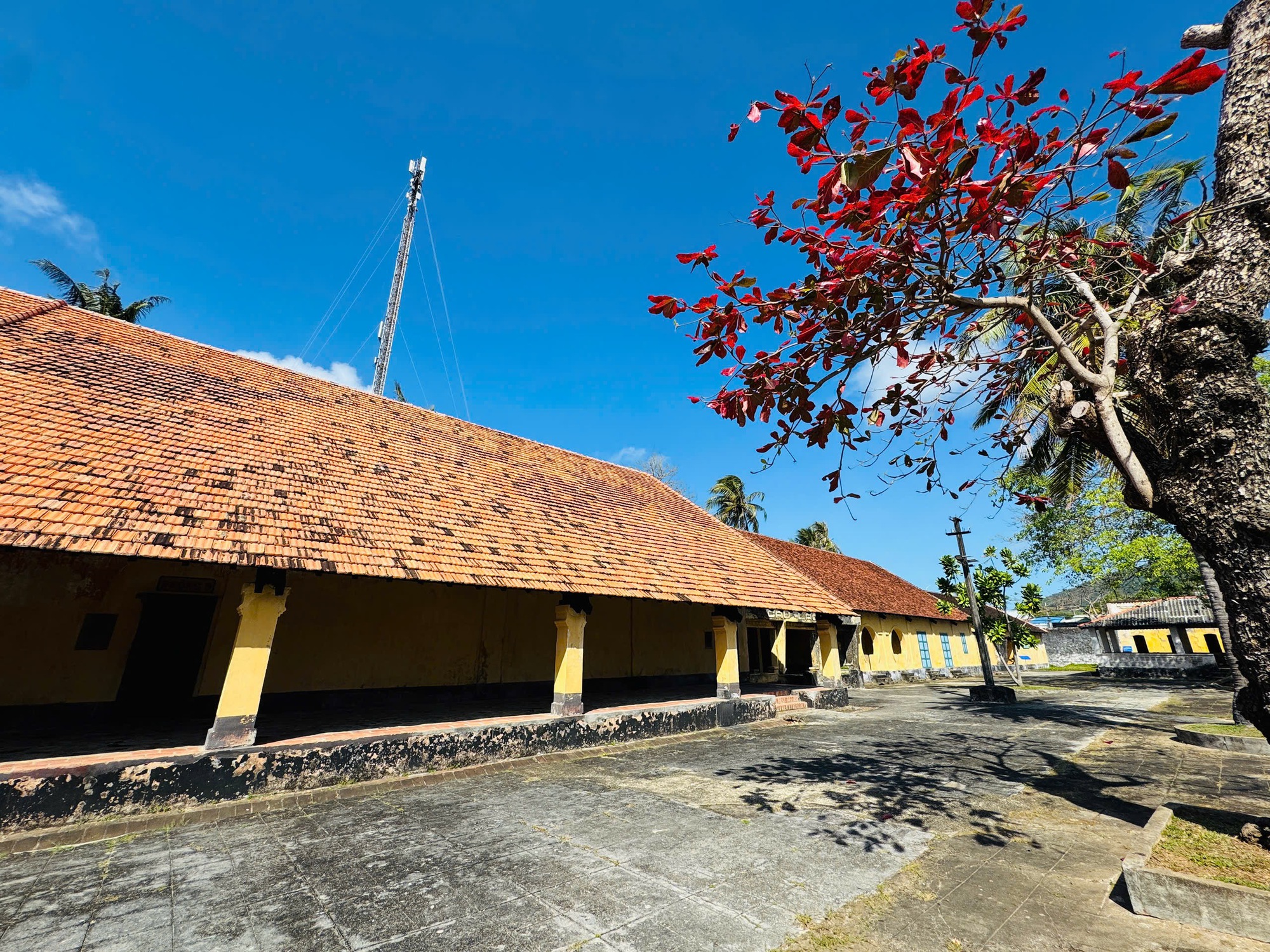 C&ocirc;n Đảo bước v&agrave;o "m&ugrave;a đẹp nhất năm" - Ảnh 5.