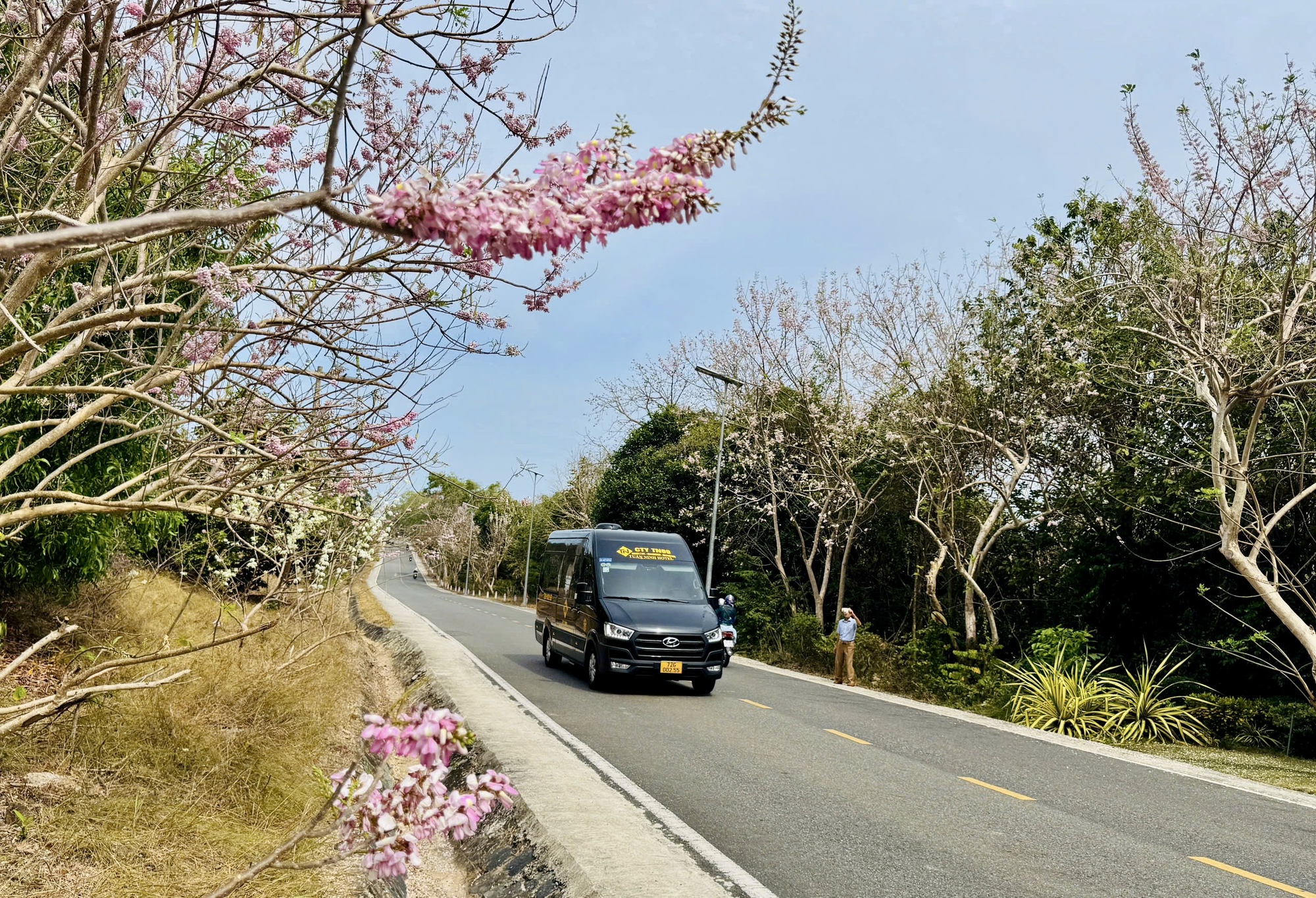 C&ocirc;n Đảo bước v&agrave;o "m&ugrave;a đẹp nhất năm" - Ảnh 8.