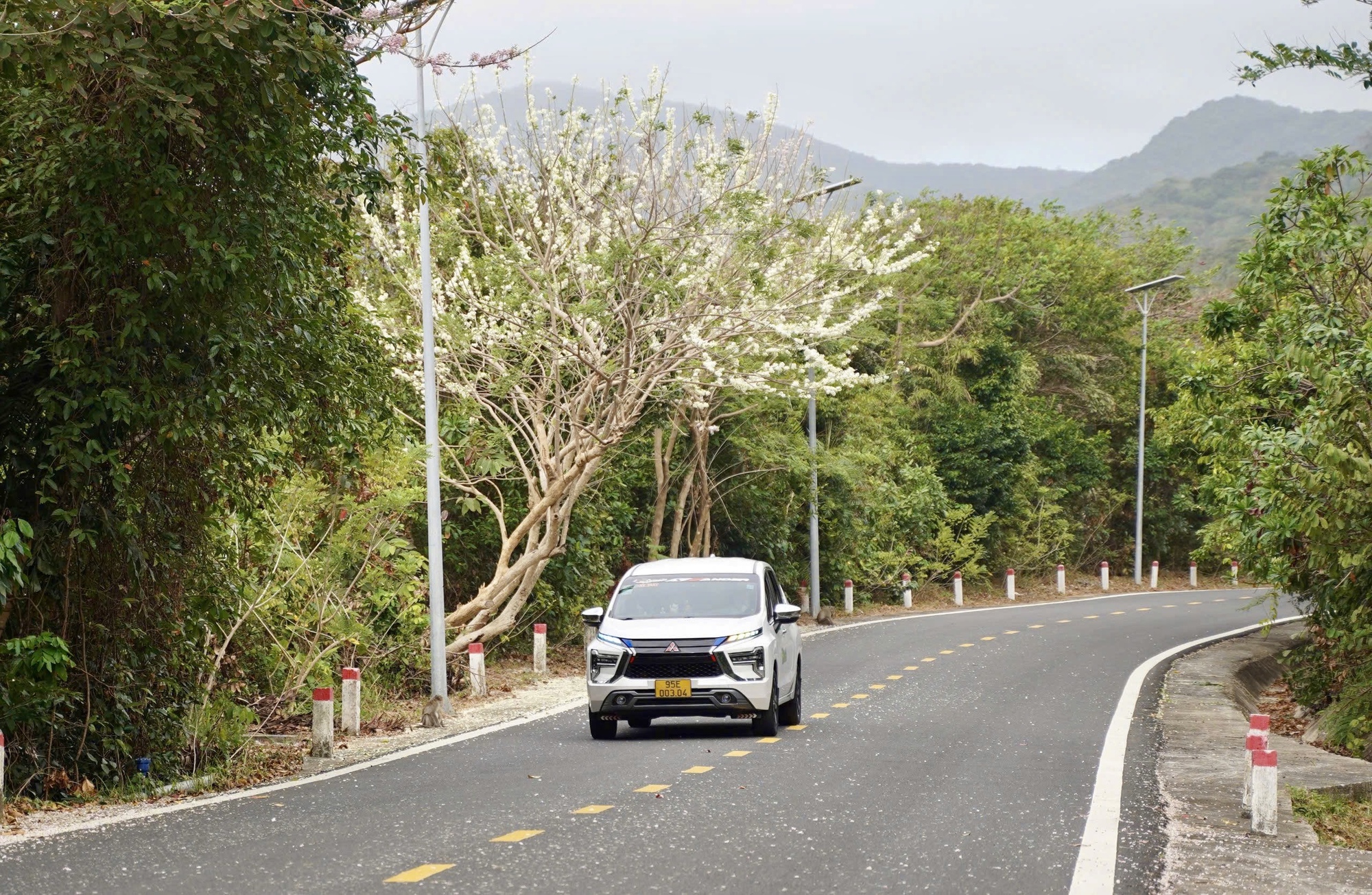 C&ocirc;n Đảo bước v&agrave;o "m&ugrave;a đẹp nhất năm" - Ảnh 9.