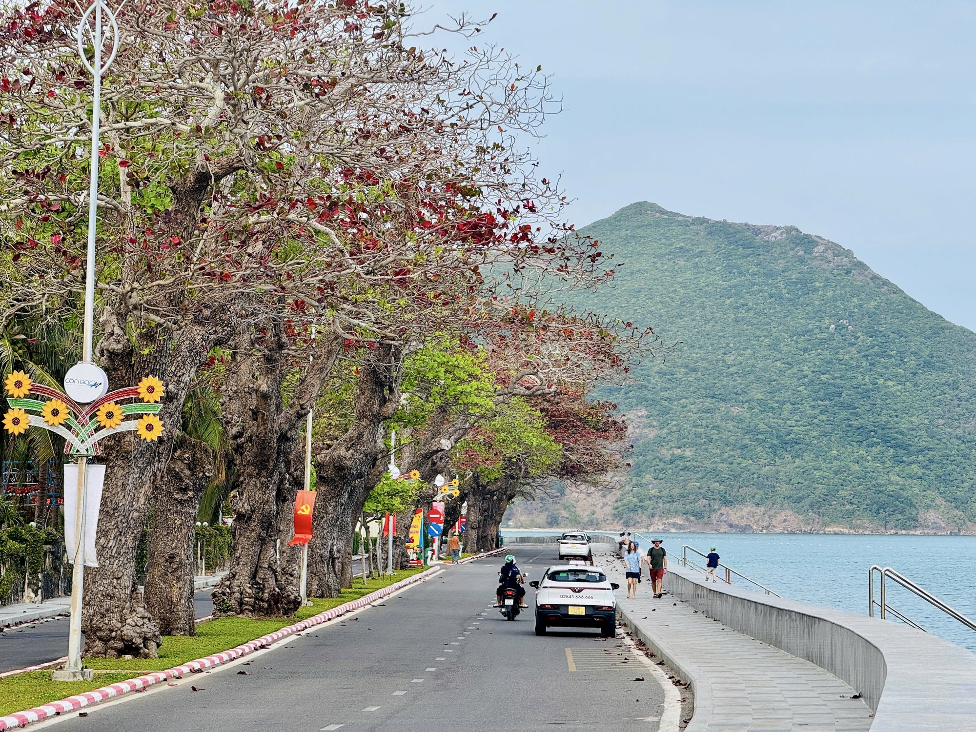 C&ocirc;n Đảo bước v&agrave;o "m&ugrave;a đẹp nhất năm" - Ảnh 2.