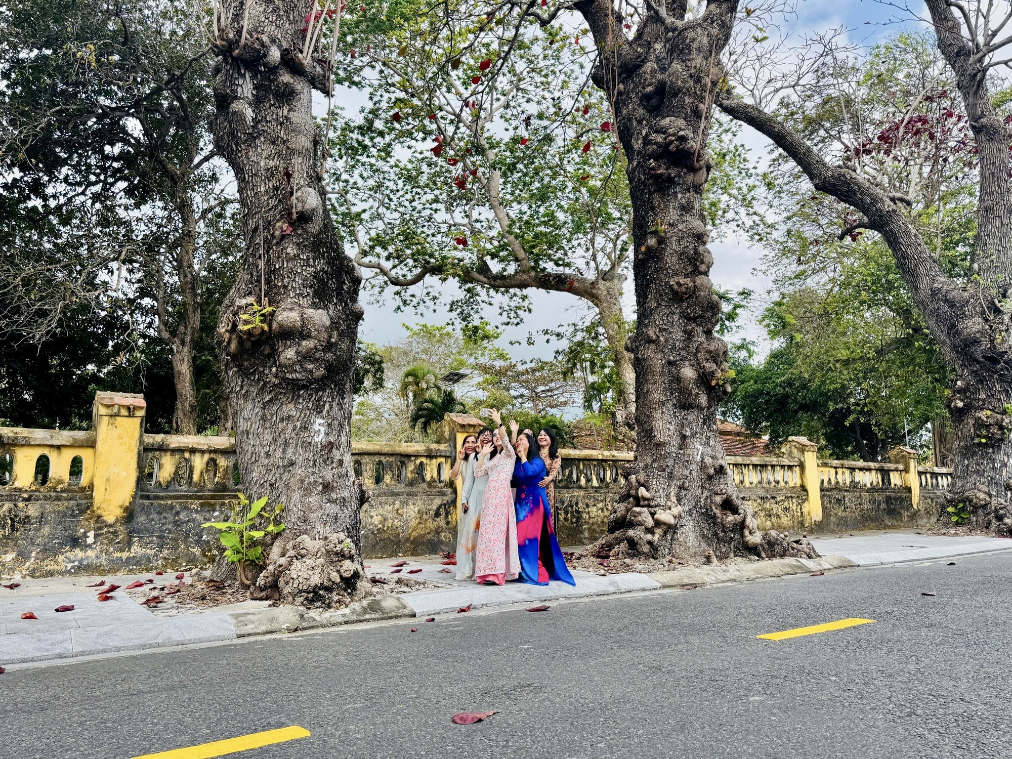 C&ocirc;n Đảo bước v&agrave;o "m&ugrave;a đẹp nhất năm" - Ảnh 6.