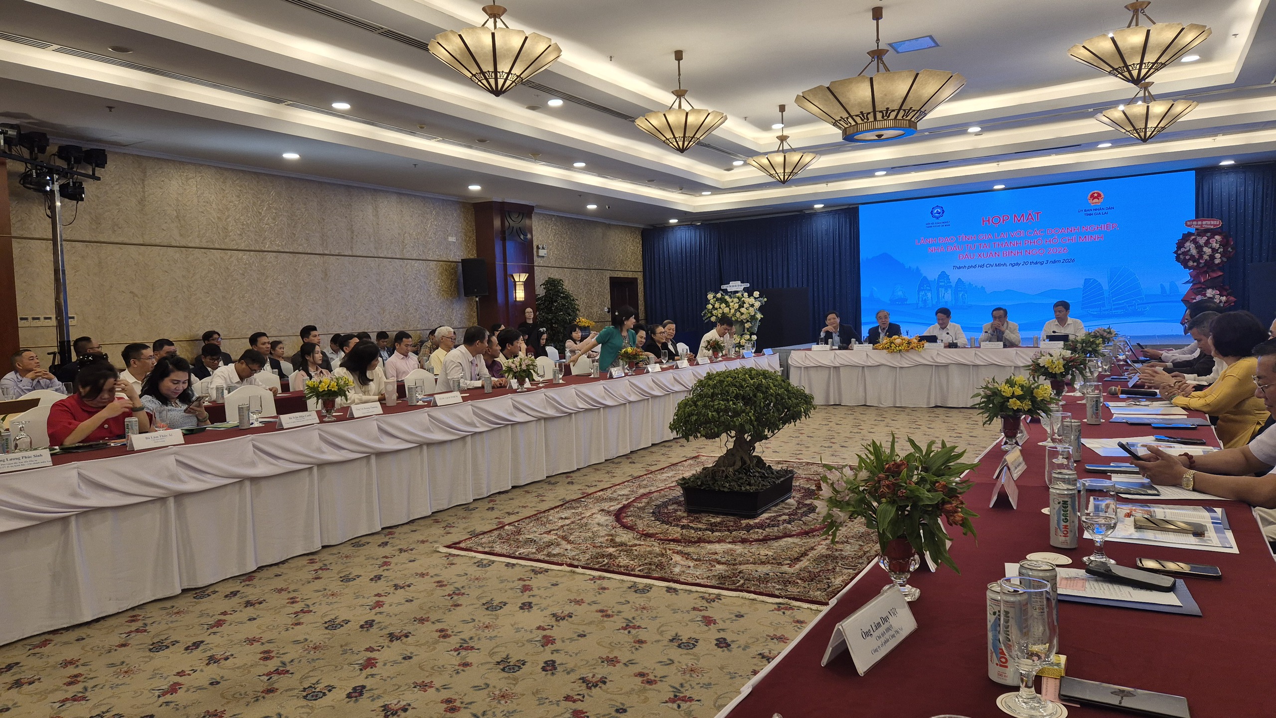 Gia Lai kêu gọi đầu tư tại gia Lai với 6 doanh nghiệp tỉ USD vươn tầm thế giới - Ảnh 2.