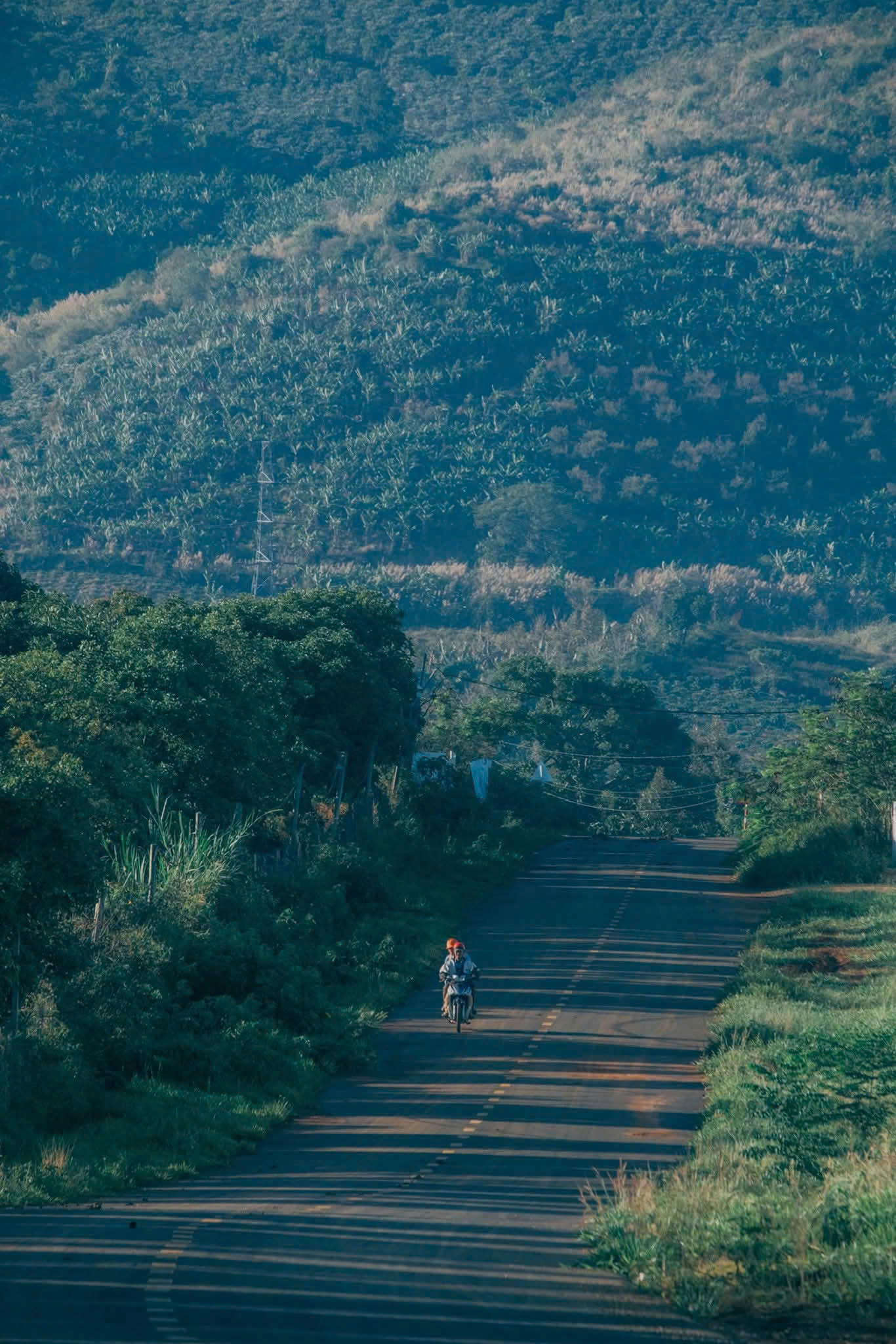 Ly đen kh&ocirc;ng đ&aacute; k&eacute;o t&ocirc;i về với những th&oacute;i quen - Ảnh 4.