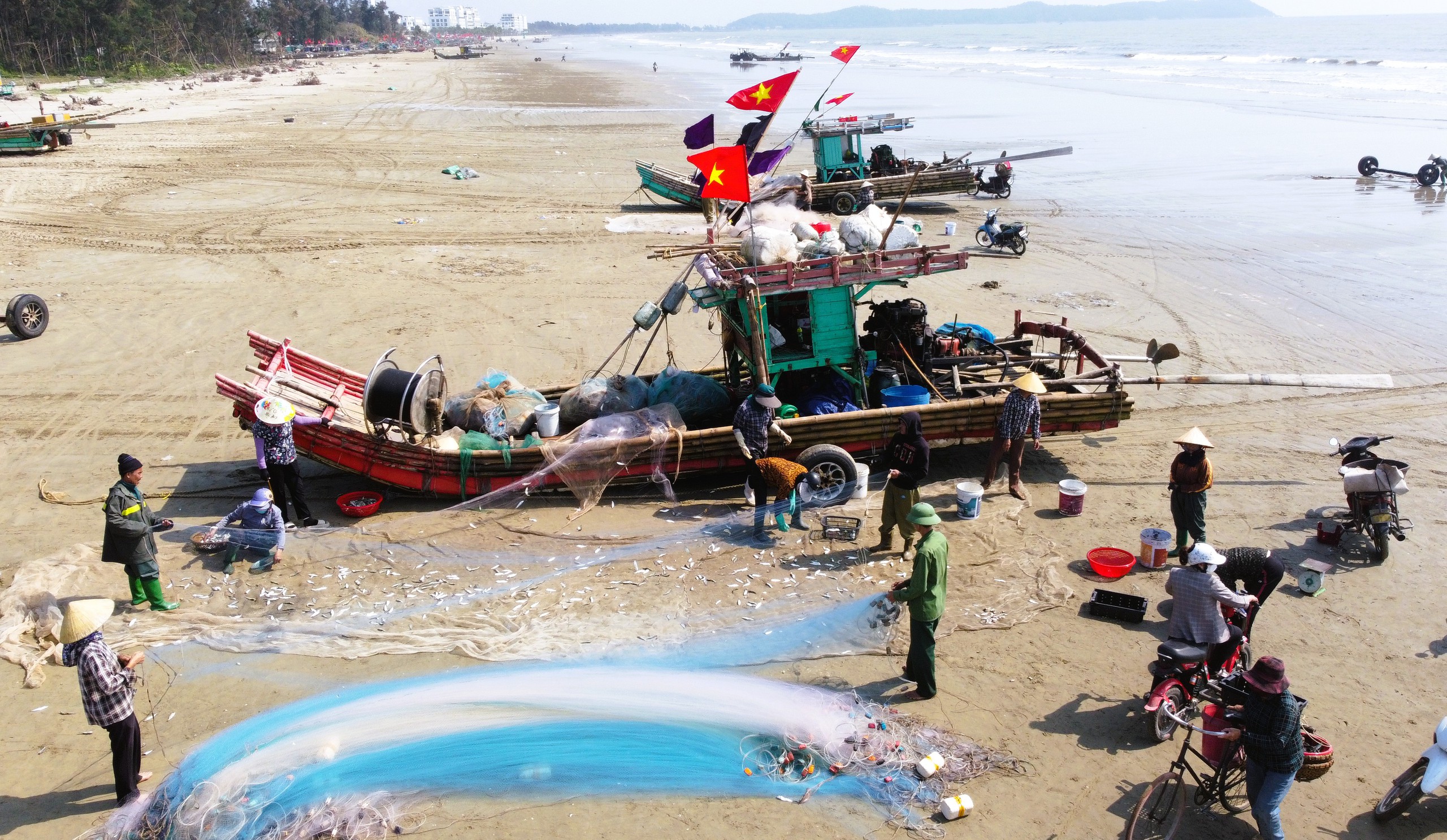 Ngư d&acirc;n Thanh H&oacute;a kiếm tiền triệu mỗi ng&agrave;y m&ugrave;a c&aacute; tr&iacute;ch - Ảnh 2.