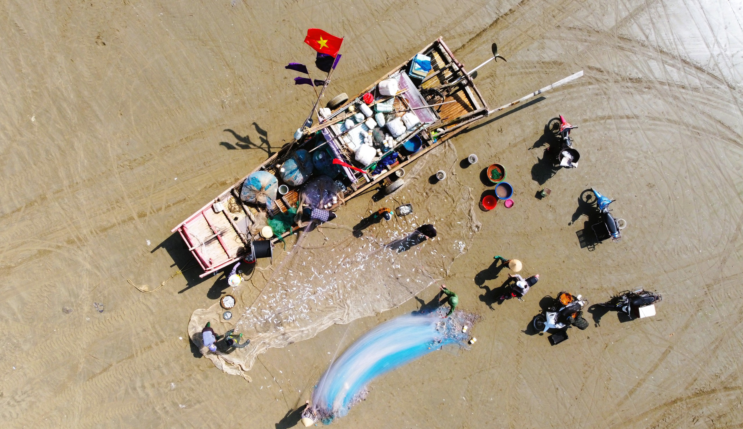 Ngư d&acirc;n Thanh H&oacute;a kiếm tiền triệu mỗi ng&agrave;y m&ugrave;a c&aacute; tr&iacute;ch - Ảnh 12.