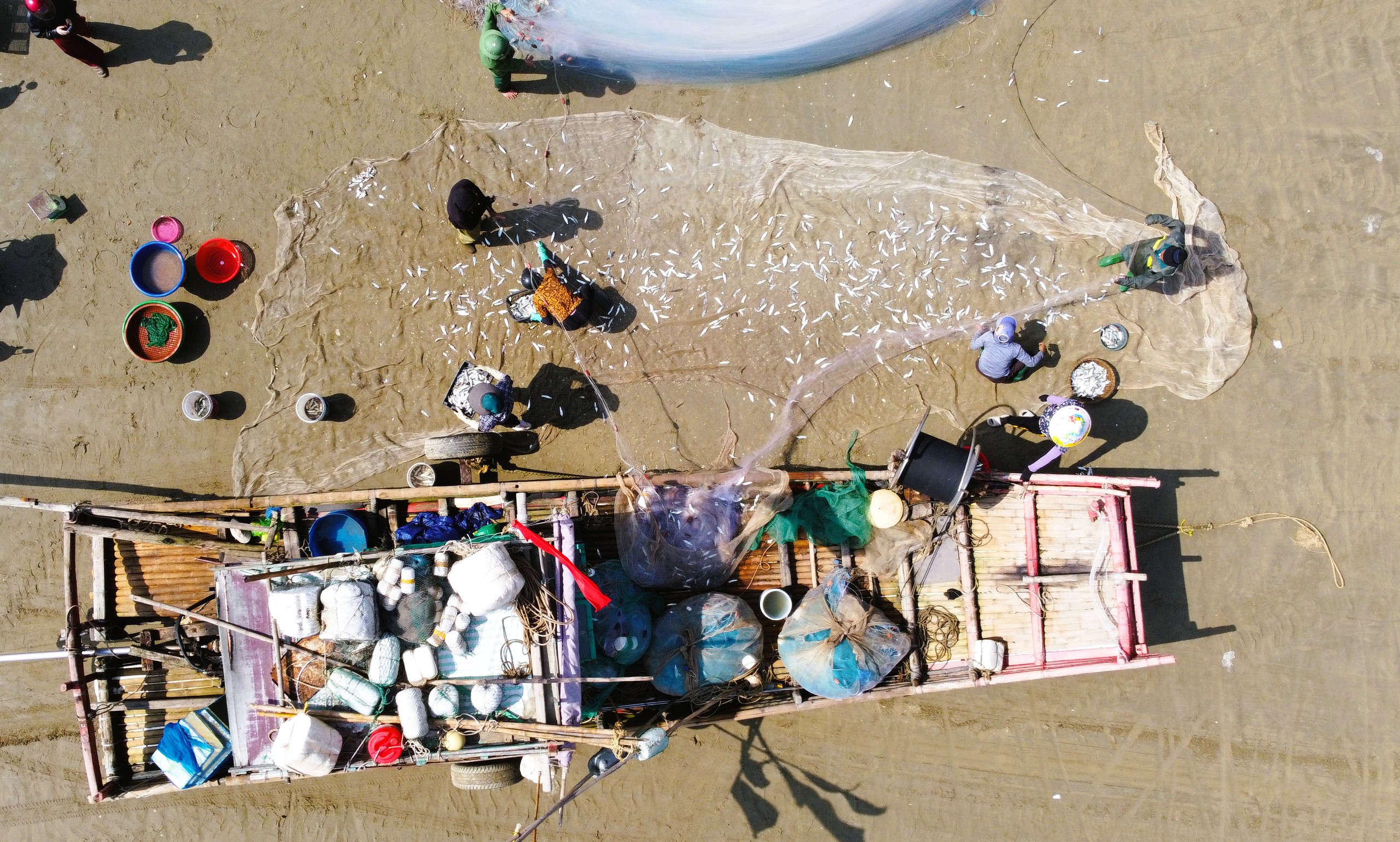 Ngư d&acirc;n Thanh H&oacute;a kiếm tiền triệu mỗi ng&agrave;y m&ugrave;a c&aacute; tr&iacute;ch - Ảnh 11.