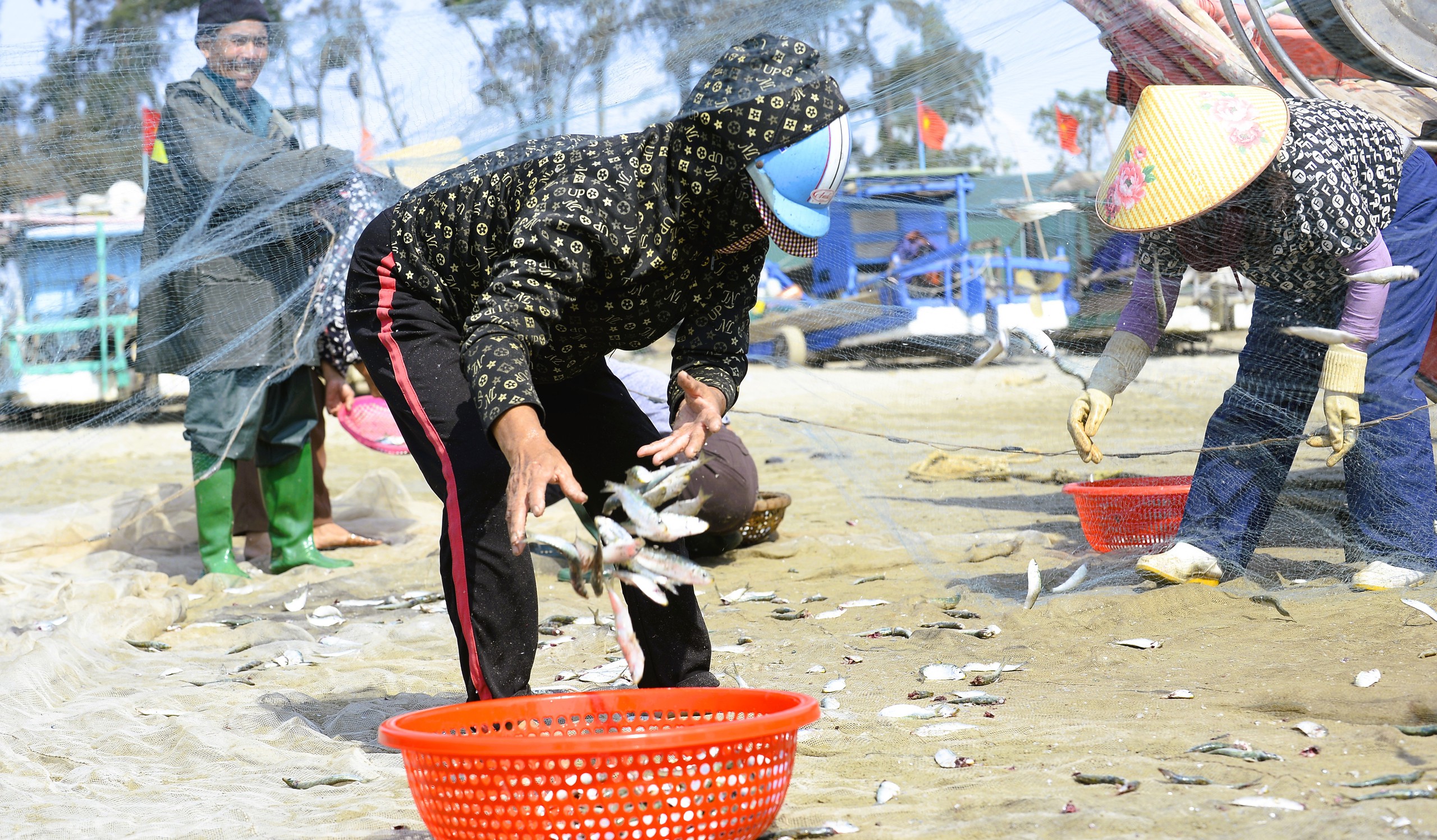 Ngư d&acirc;n Thanh H&oacute;a kiếm tiền triệu mỗi ng&agrave;y m&ugrave;a c&aacute; tr&iacute;ch - Ảnh 10.