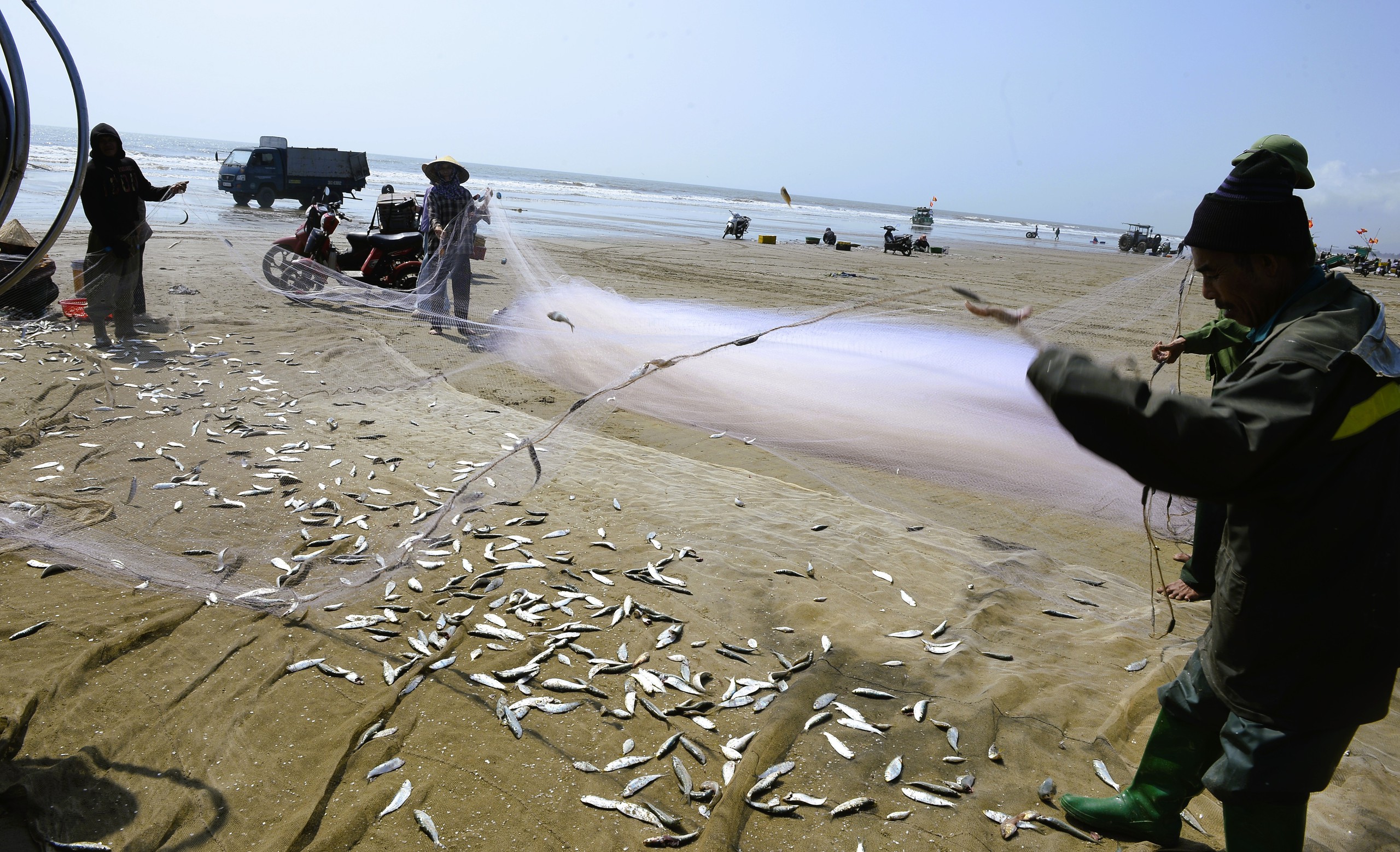 Ngư d&acirc;n Thanh H&oacute;a kiếm tiền triệu mỗi ng&agrave;y m&ugrave;a c&aacute; tr&iacute;ch - Ảnh 7.