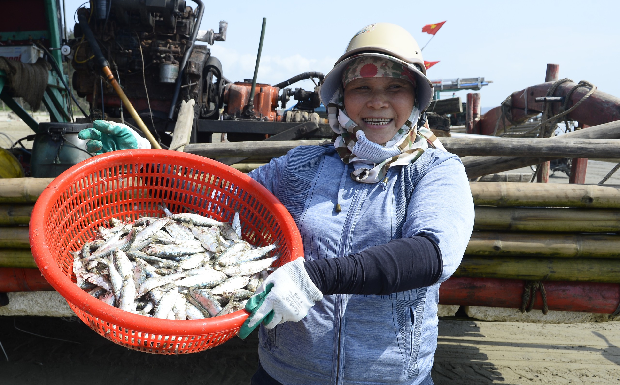 Ngư d&acirc;n Thanh H&oacute;a kiếm tiền triệu mỗi ng&agrave;y m&ugrave;a c&aacute; tr&iacute;ch - Ảnh 1.