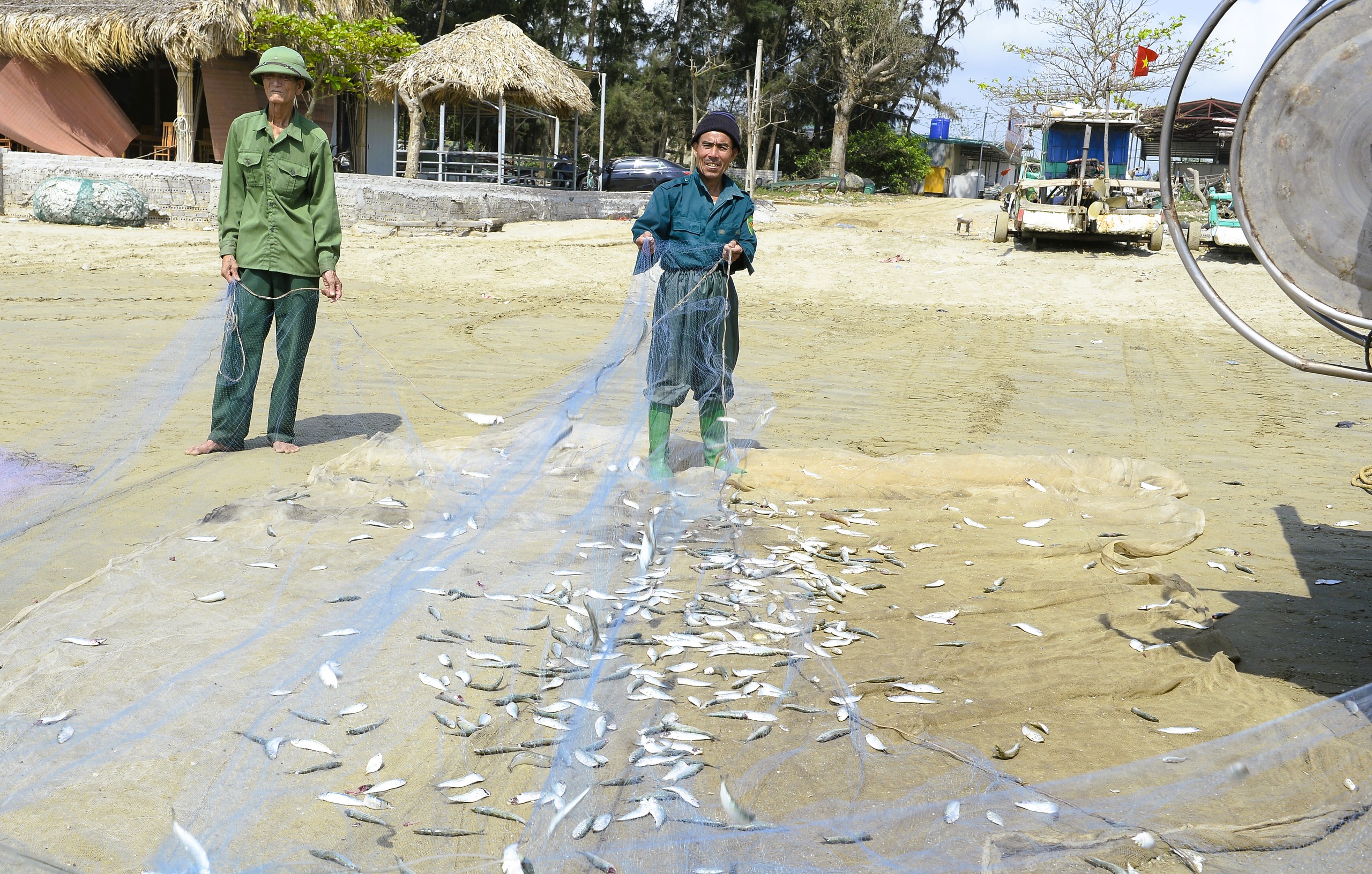 Ngư d&acirc;n Thanh H&oacute;a kiếm tiền triệu mỗi ng&agrave;y m&ugrave;a c&aacute; tr&iacute;ch - Ảnh 3.