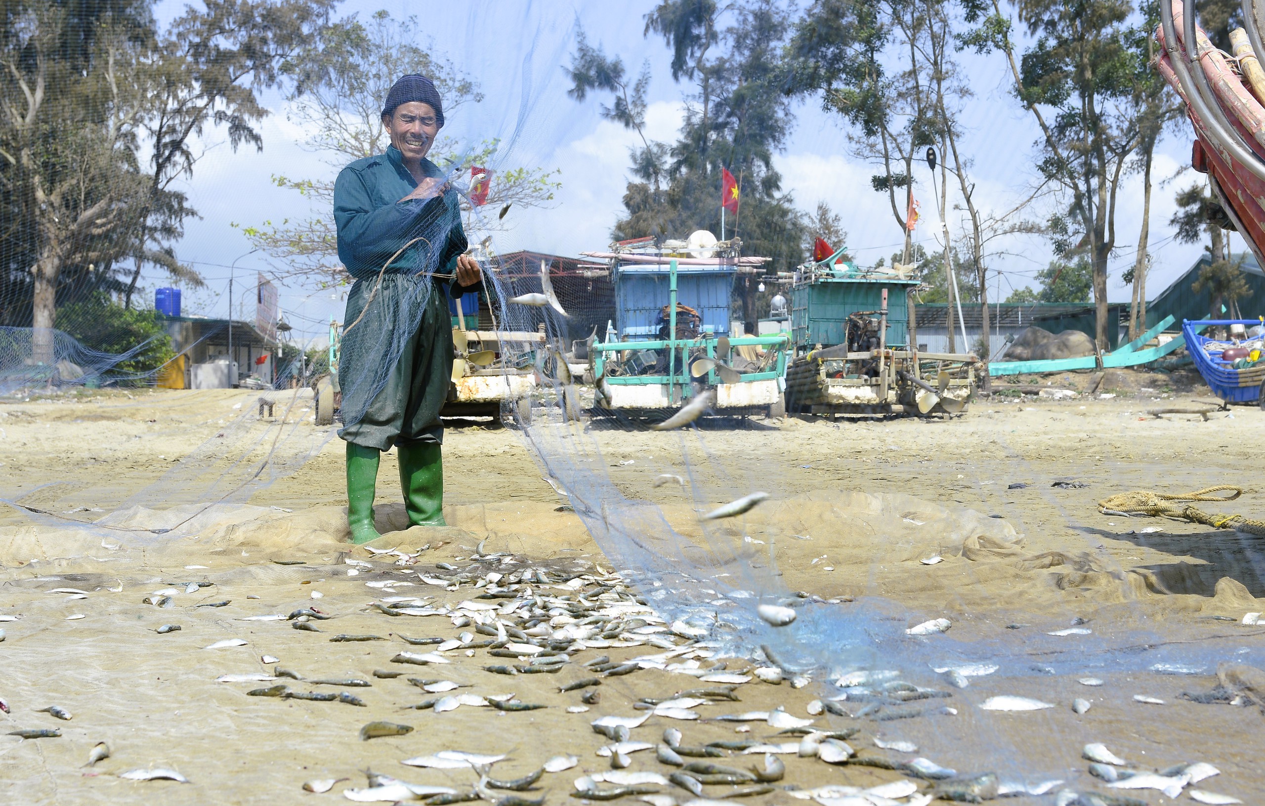 Ngư d&acirc;n Thanh H&oacute;a kiếm tiền triệu mỗi ng&agrave;y m&ugrave;a c&aacute; tr&iacute;ch - Ảnh 4.