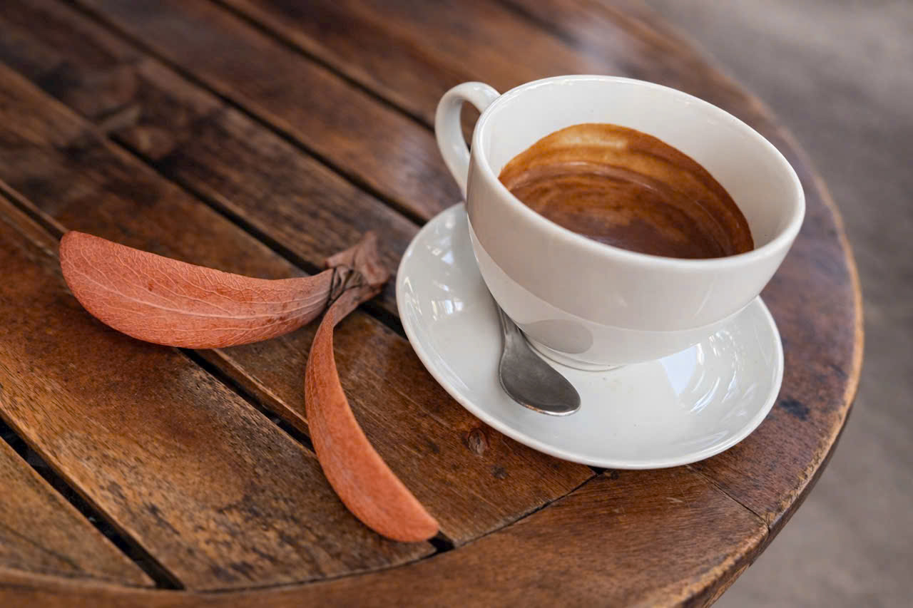 Ly đen kh&ocirc;ng đ&aacute; k&eacute;o t&ocirc;i về với những th&oacute;i quen - Ảnh 1.