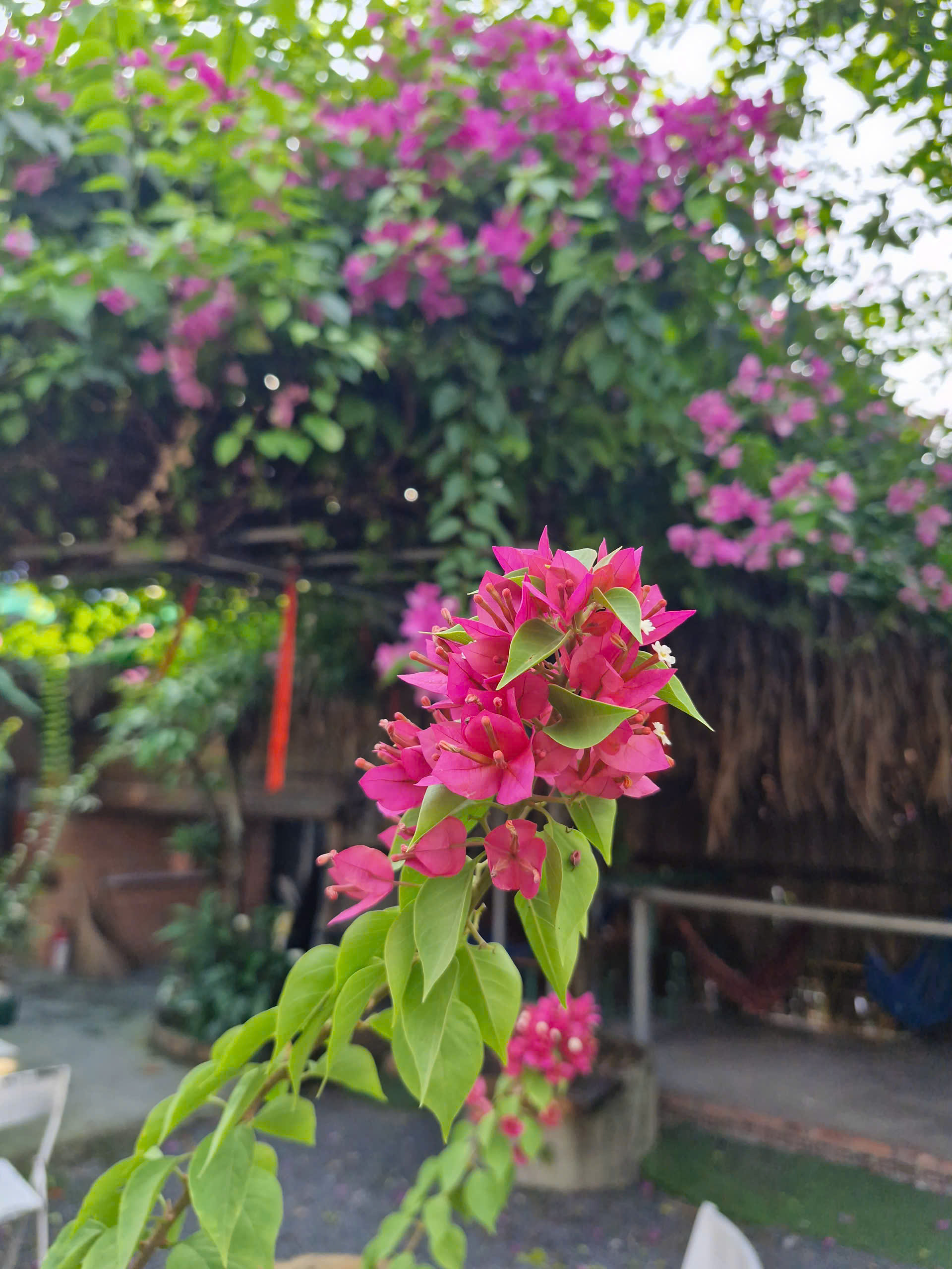 Quán cà phê ta hẹn... - Ảnh 4.