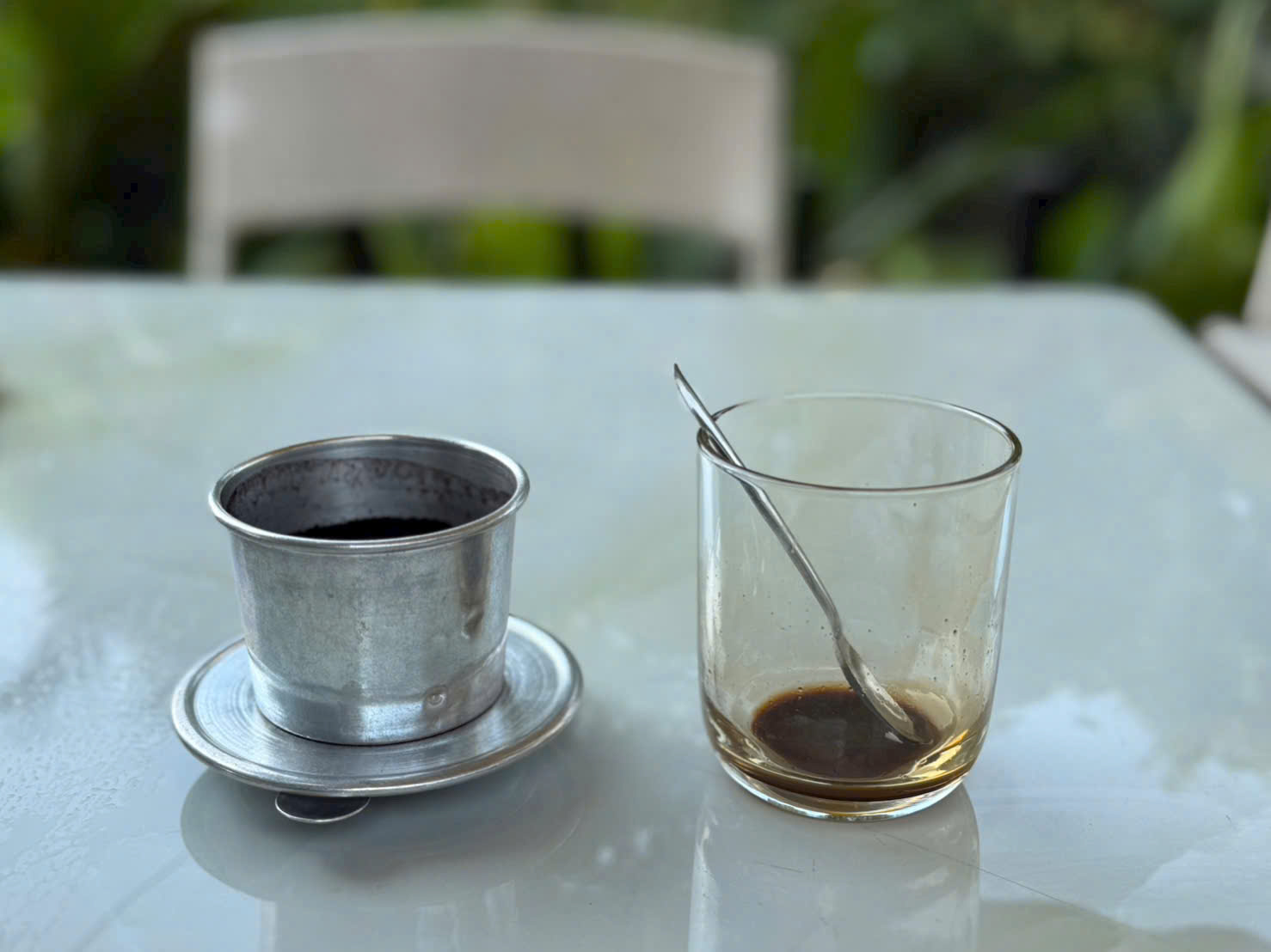 Ly đen kh&ocirc;ng đ&aacute; k&eacute;o t&ocirc;i về với những th&oacute;i quen - Ảnh 2.