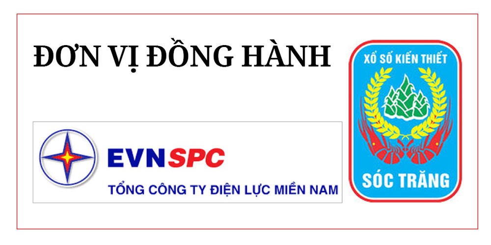 Ổn định thị trường lúa gạo - Ảnh 3.