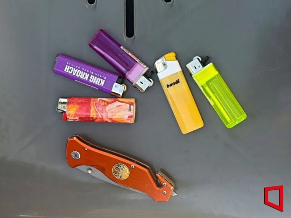 Cảnh sát chặn người mang dao, súng điện vì đêm nhạc BTS - Ảnh 3.