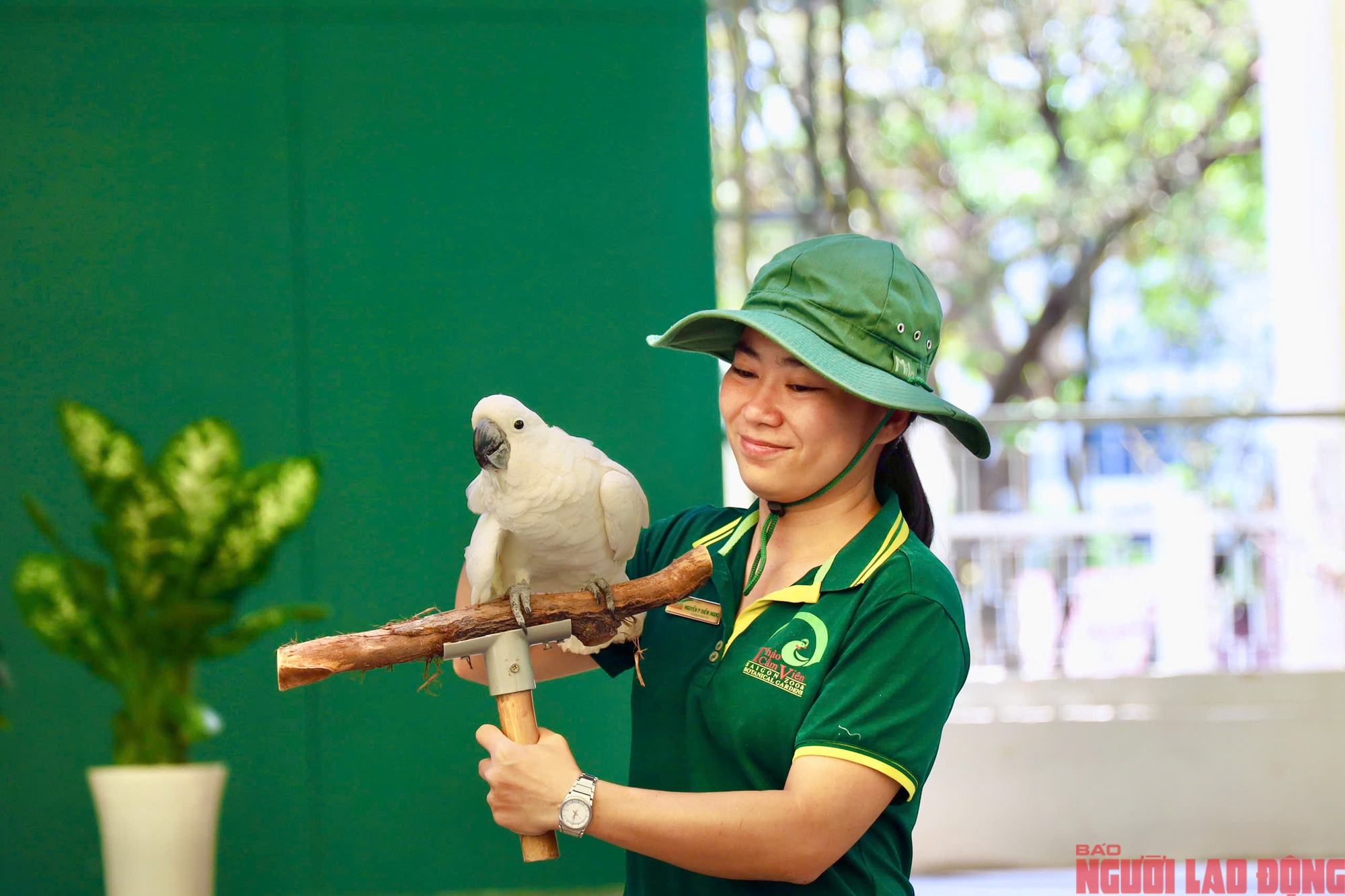 Thảo Cầm Viên đón sinh nhật 162 năm tuổi - Ảnh 6.