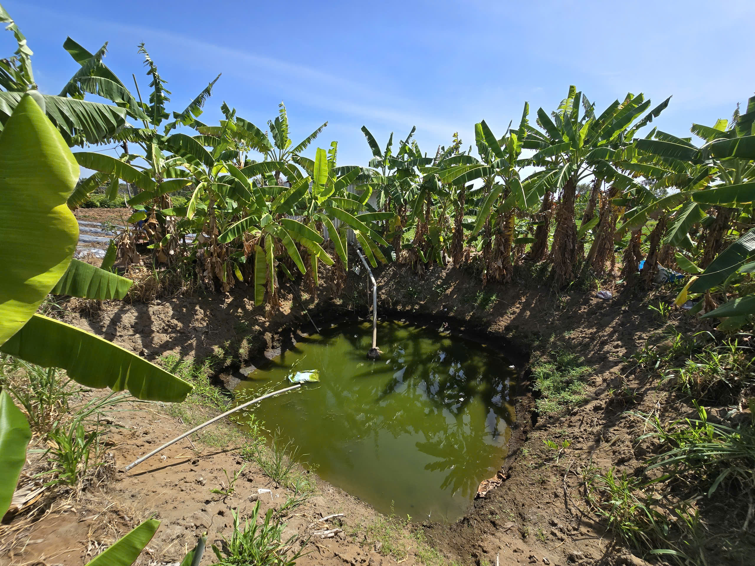 Xu thế xâm nhập mặn gia tăng ở ĐBSCL và cảnh báo từ các chuyên gia - Ảnh 2. Xu thế xâm nhập mặn gia tăng ở ĐBSCL và cảnh báo từ các chuyên gia - Ảnh 2.