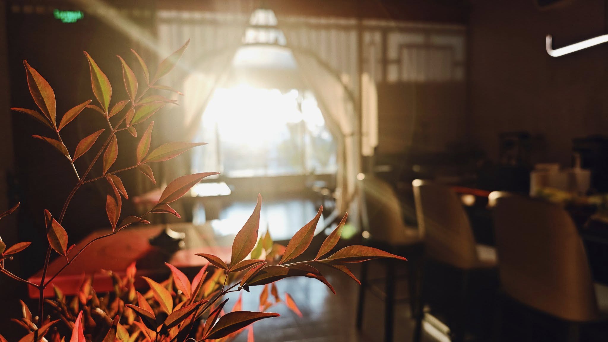 Chiếc cối xay c&agrave; ph&ecirc; v&agrave; ch&eacute;n tr&agrave; "động" của anh ch&agrave;ng 9X điển trai - Ảnh 11.