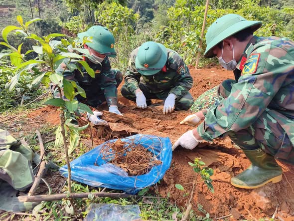 Phát hiện hài cốt liệt sĩ cùng cuộn dây thông tin - Ảnh 1.