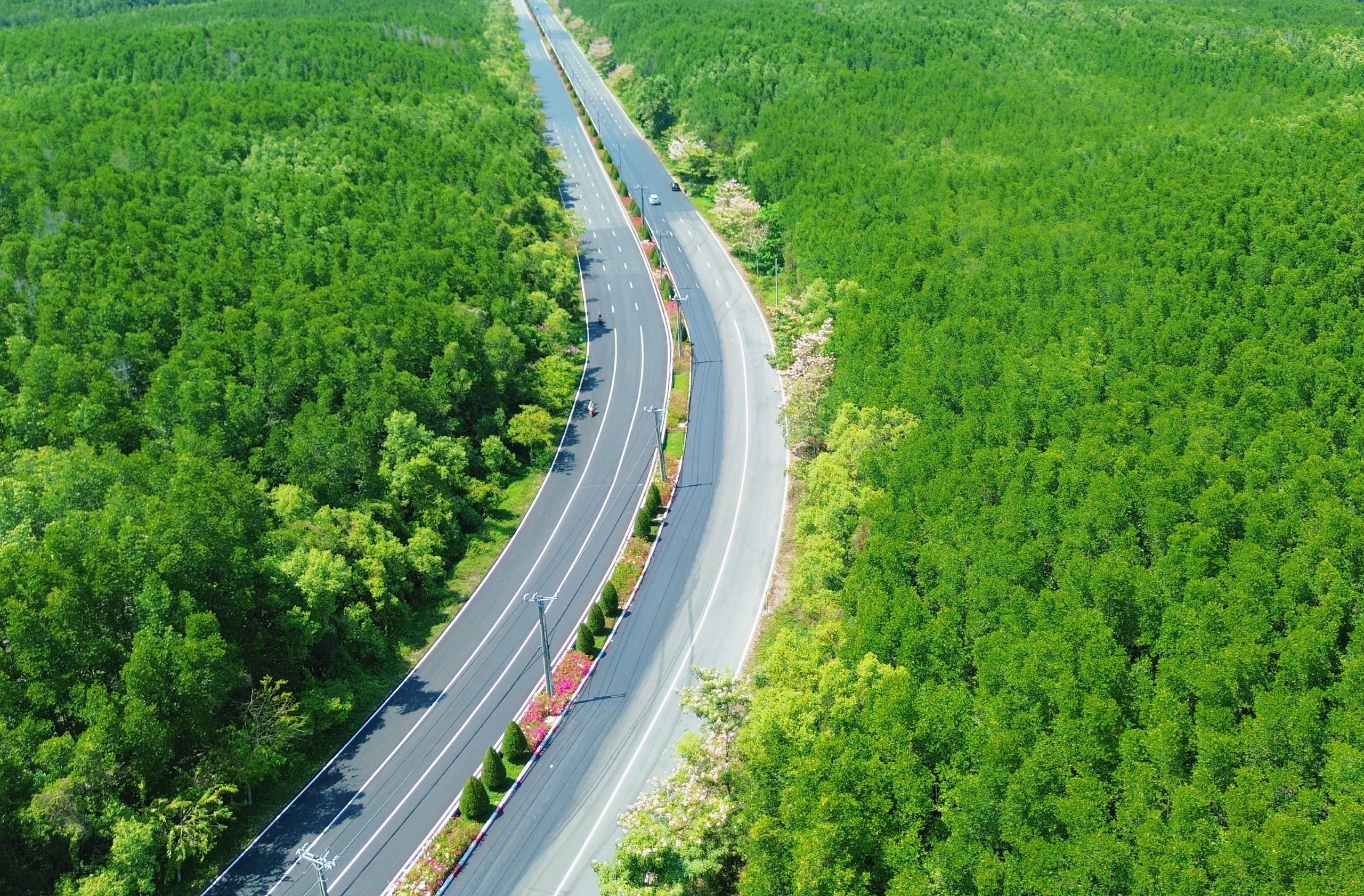 Một tuyến đường đang "đốn tim" giới trẻ TPHCM - Ảnh 16.