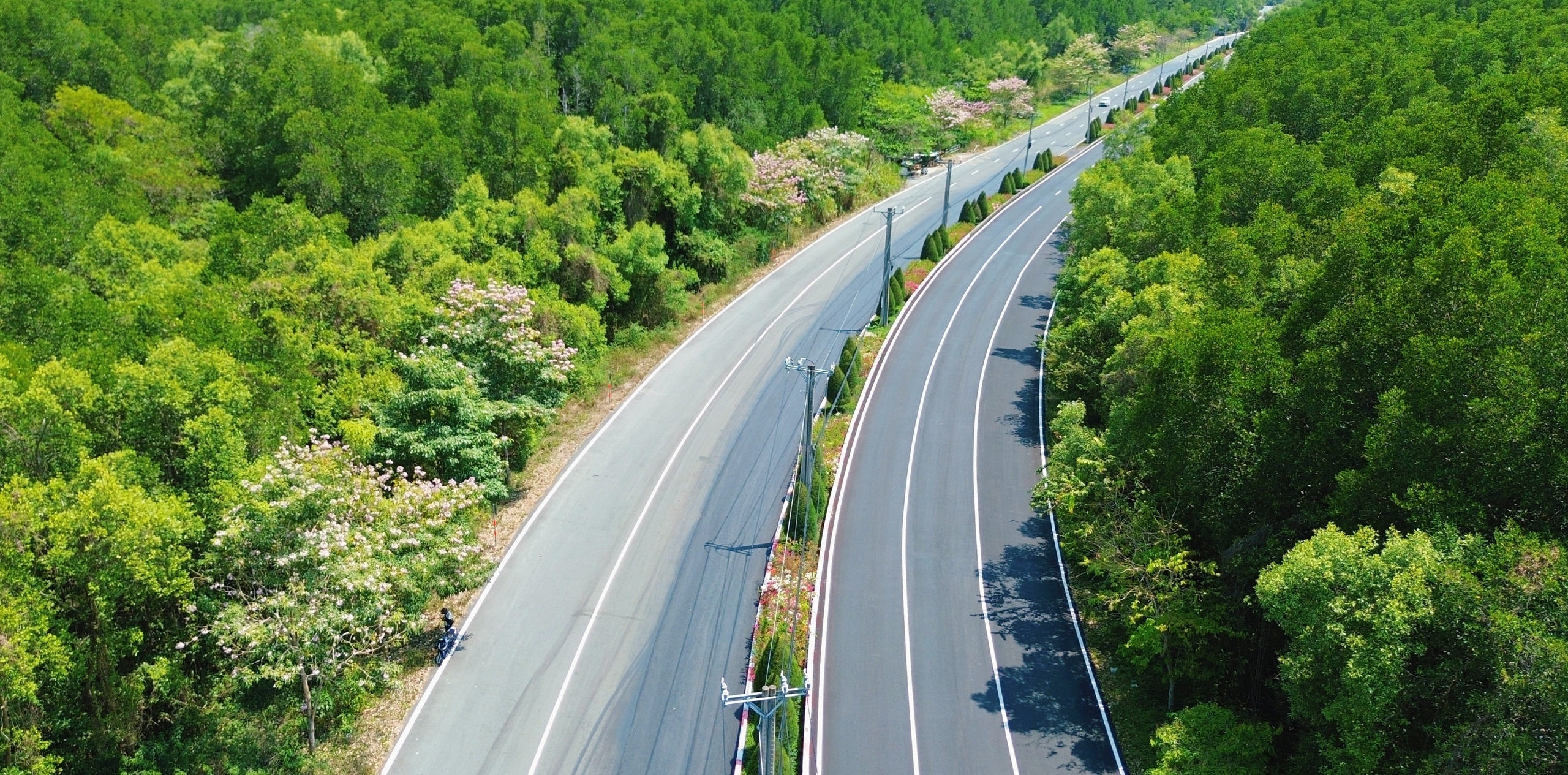 Một tuyến đường đang "đốn tim" giới trẻ TPHCM - Ảnh 15.