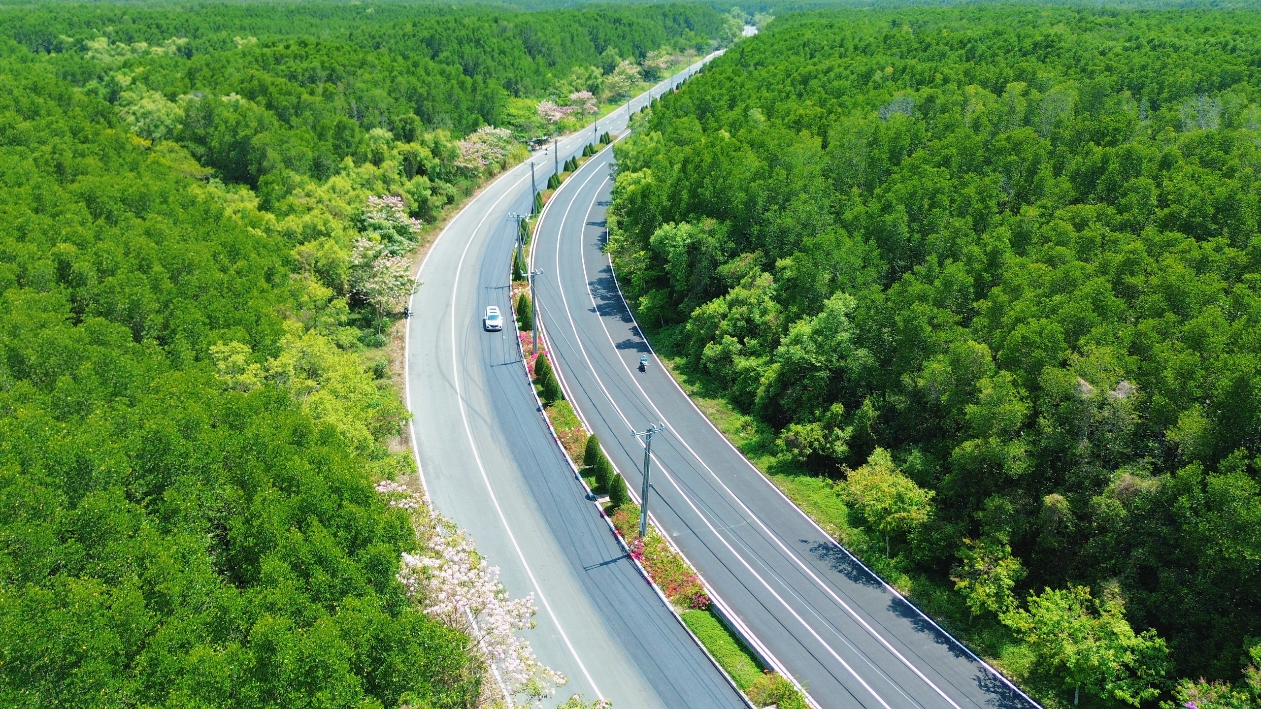 Một tuyến đường đang "đốn tim" giới trẻ TPHCM - Ảnh 14.