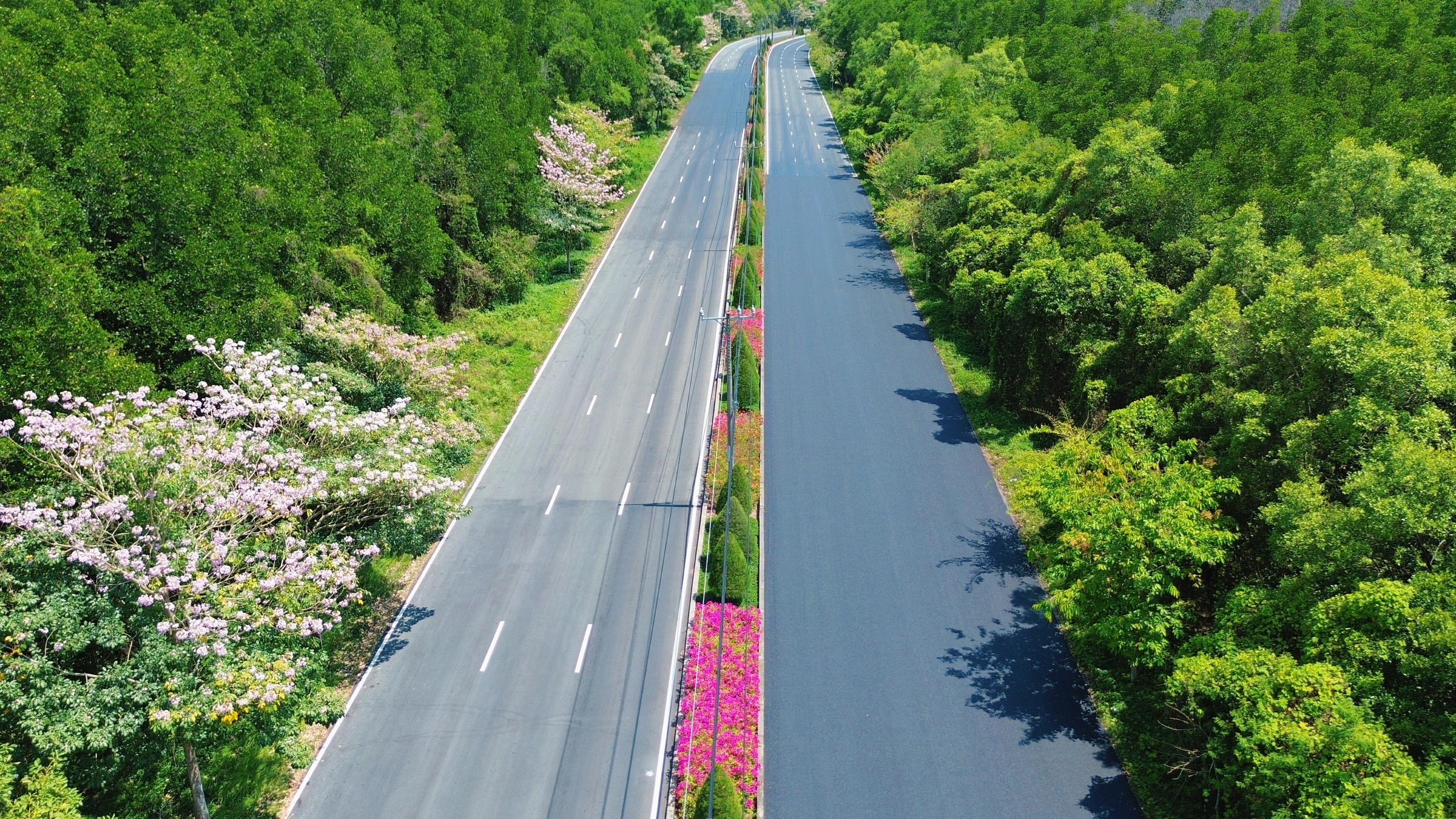 Một tuyến đường đang "đốn tim" giới trẻ TPHCM - Ảnh 13.