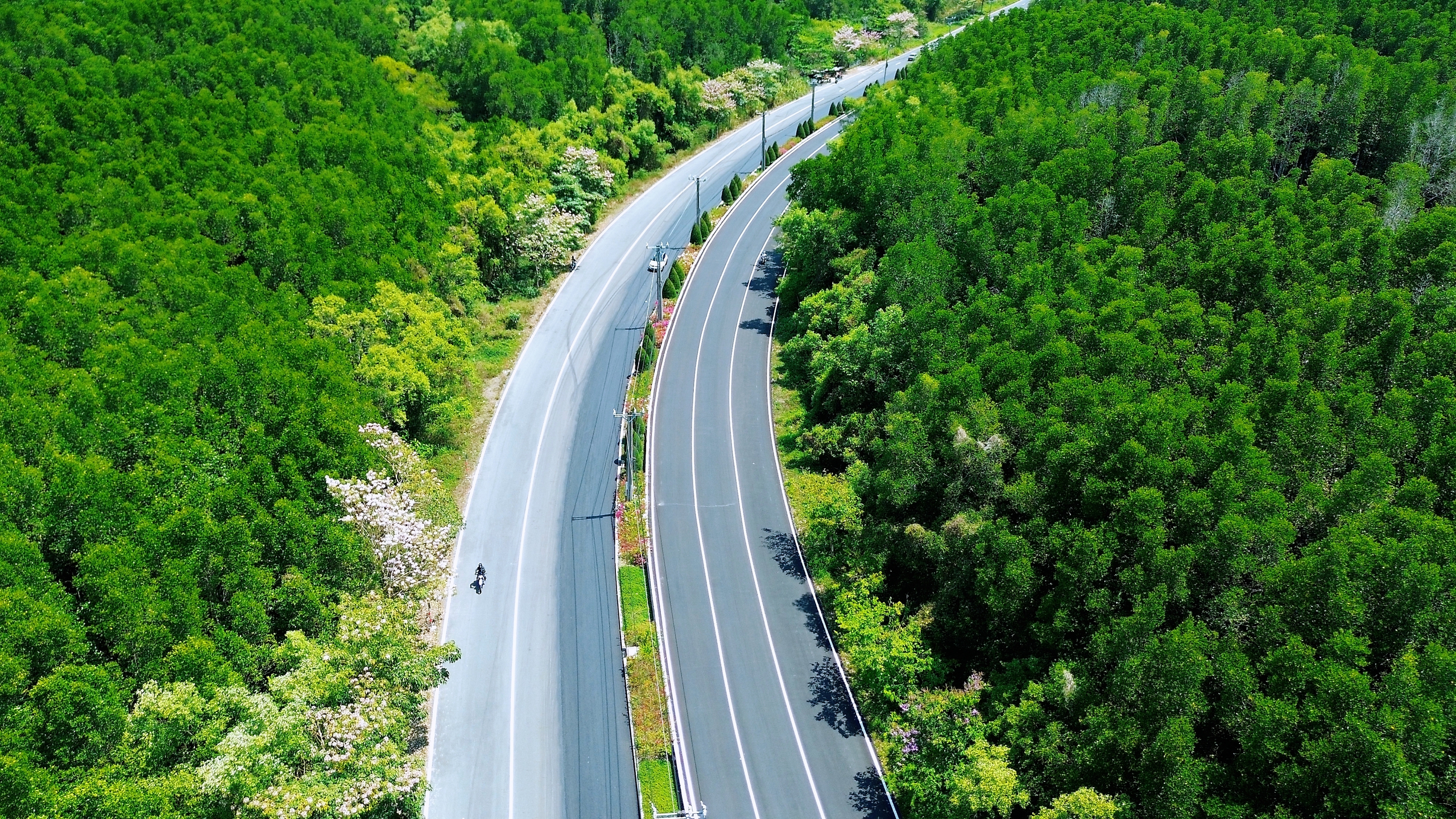 Một tuyến đường đang "đốn tim" giới trẻ TPHCM - Ảnh 12.