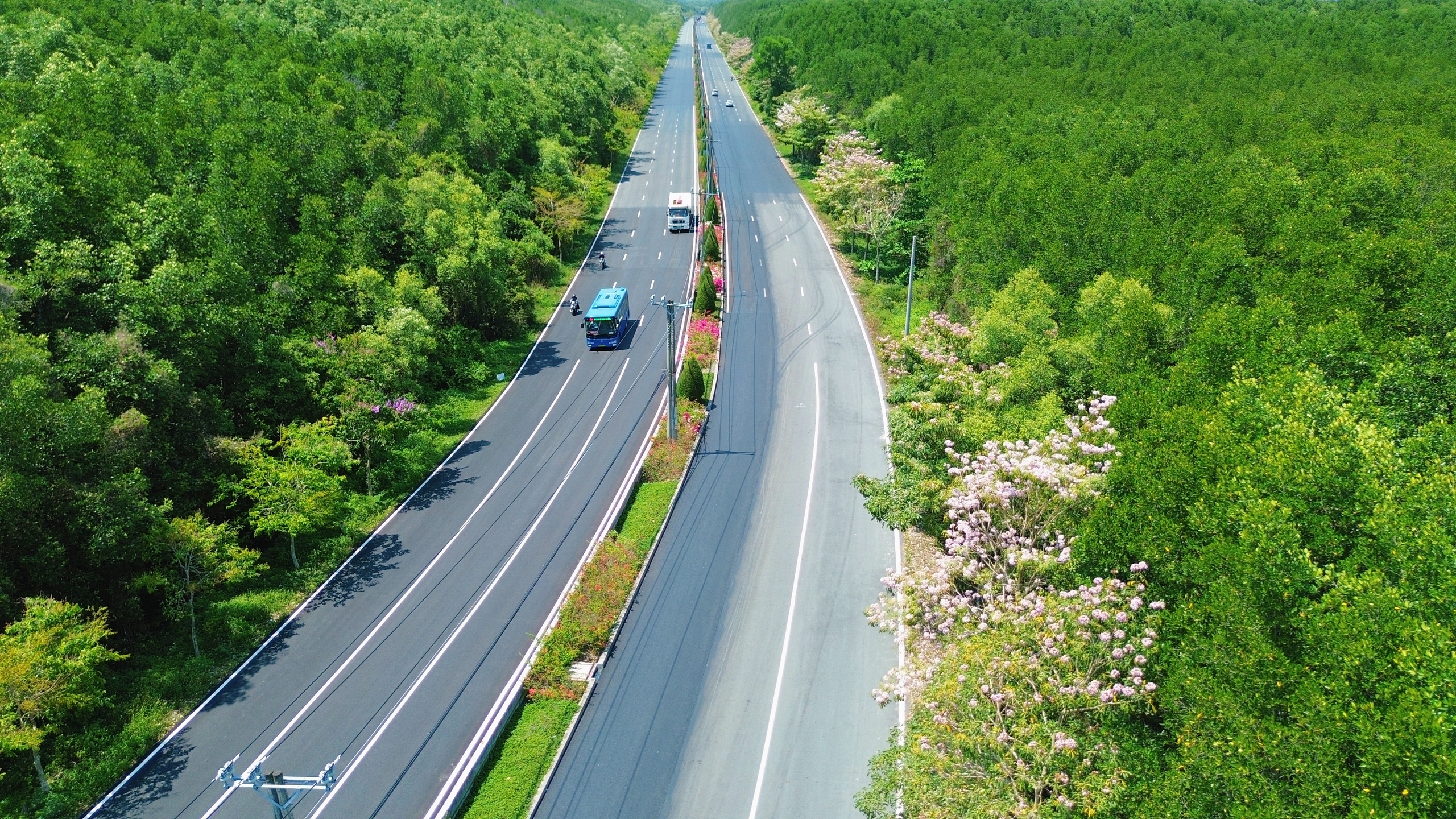 Một tuyến đường đang "đốn tim" giới trẻ TPHCM - Ảnh 10.