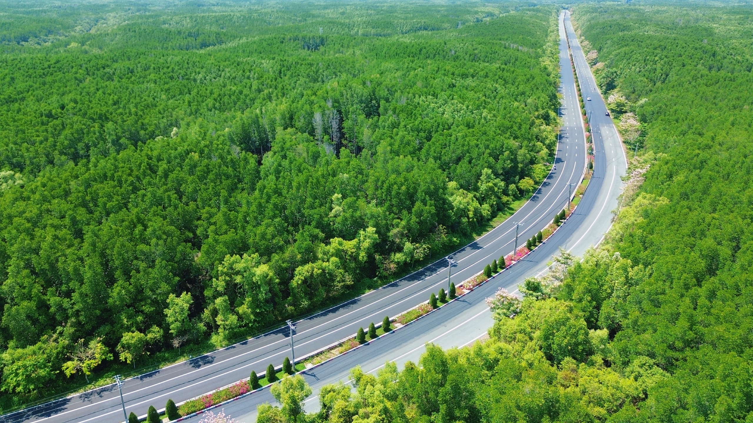 Một tuyến đường đang "đốn tim" giới trẻ TPHCM - Ảnh 9.