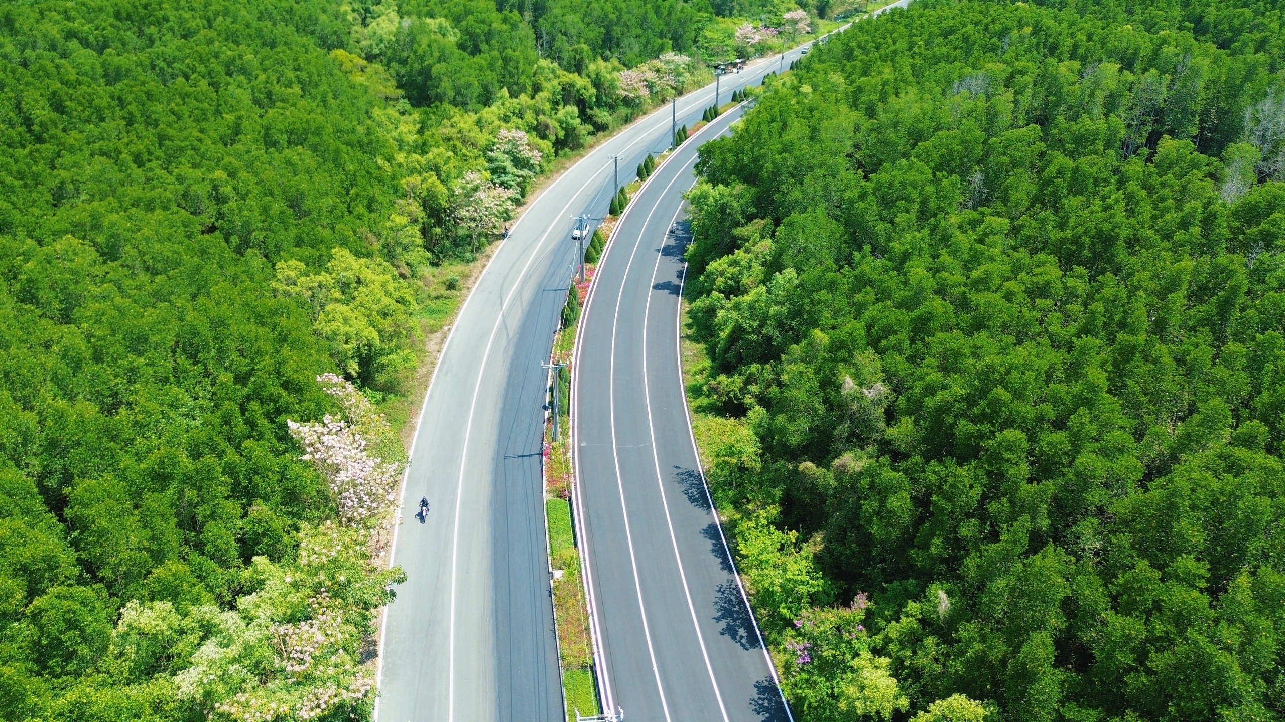 Một tuyến đường đang "đốn tim" giới trẻ TPHCM - Ảnh 6.