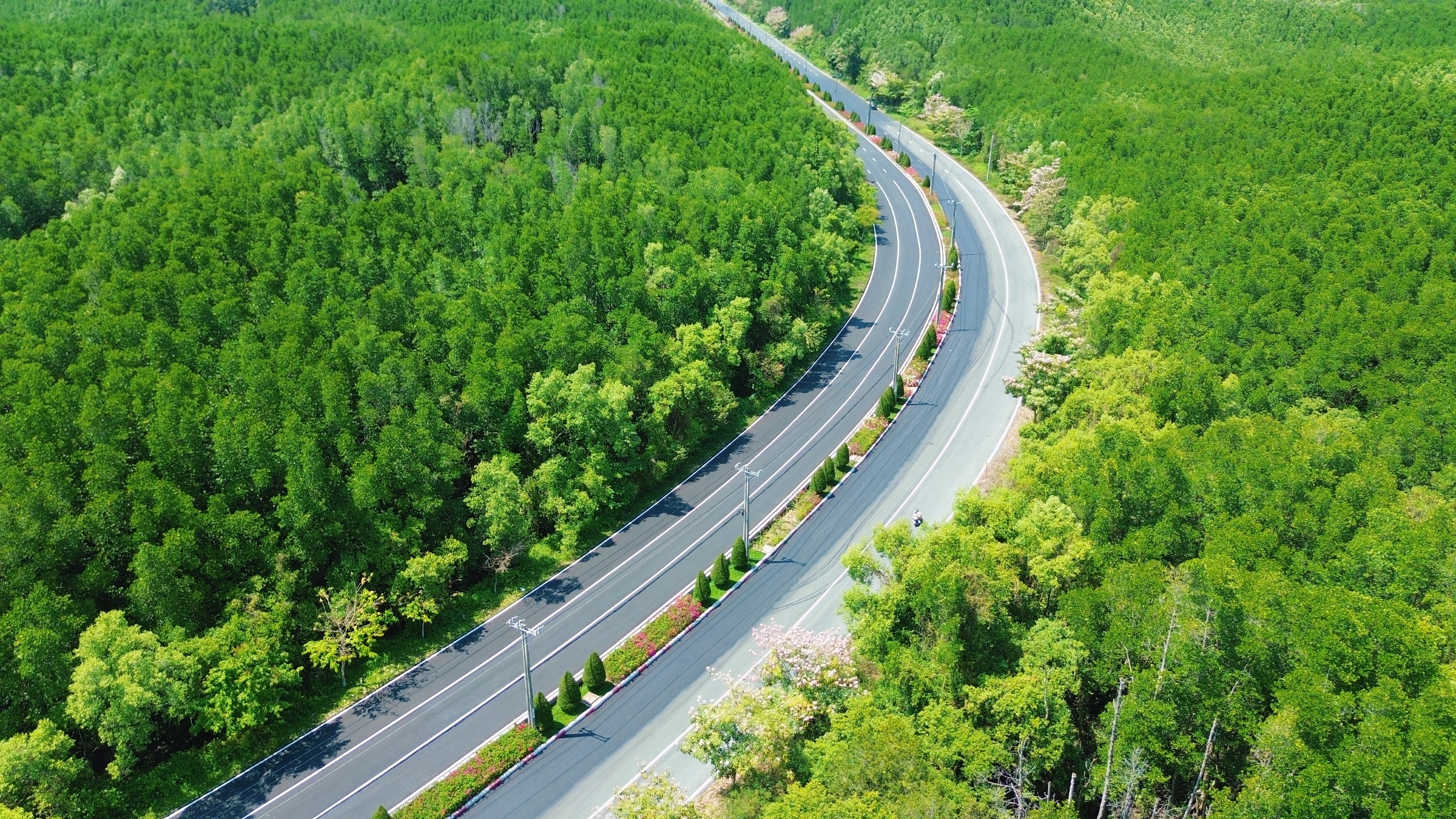 Một tuyến đường đang "đốn tim" giới trẻ TPHCM - Ảnh 5.